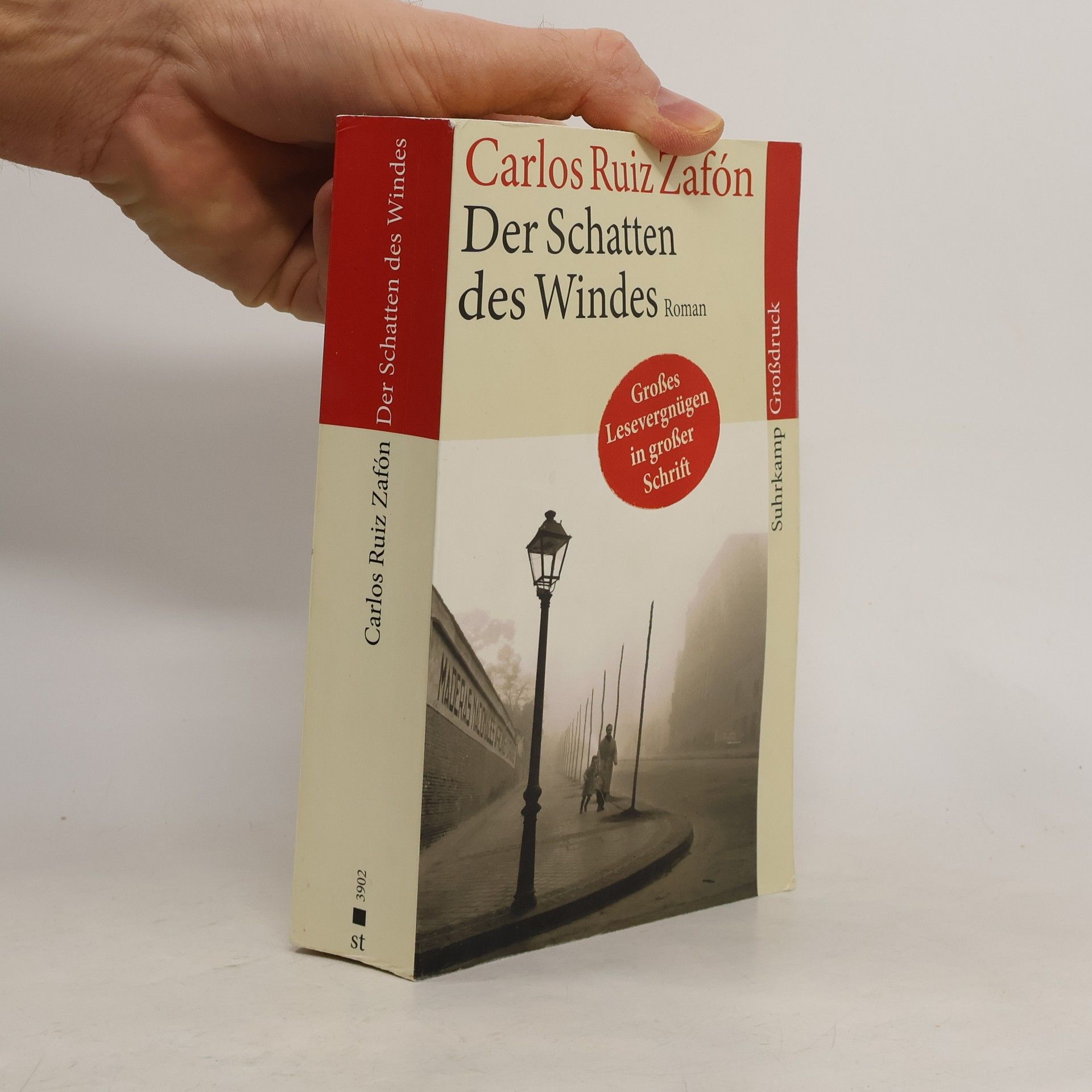 Carlos Ruiz Zafón Der Schatten des Windes