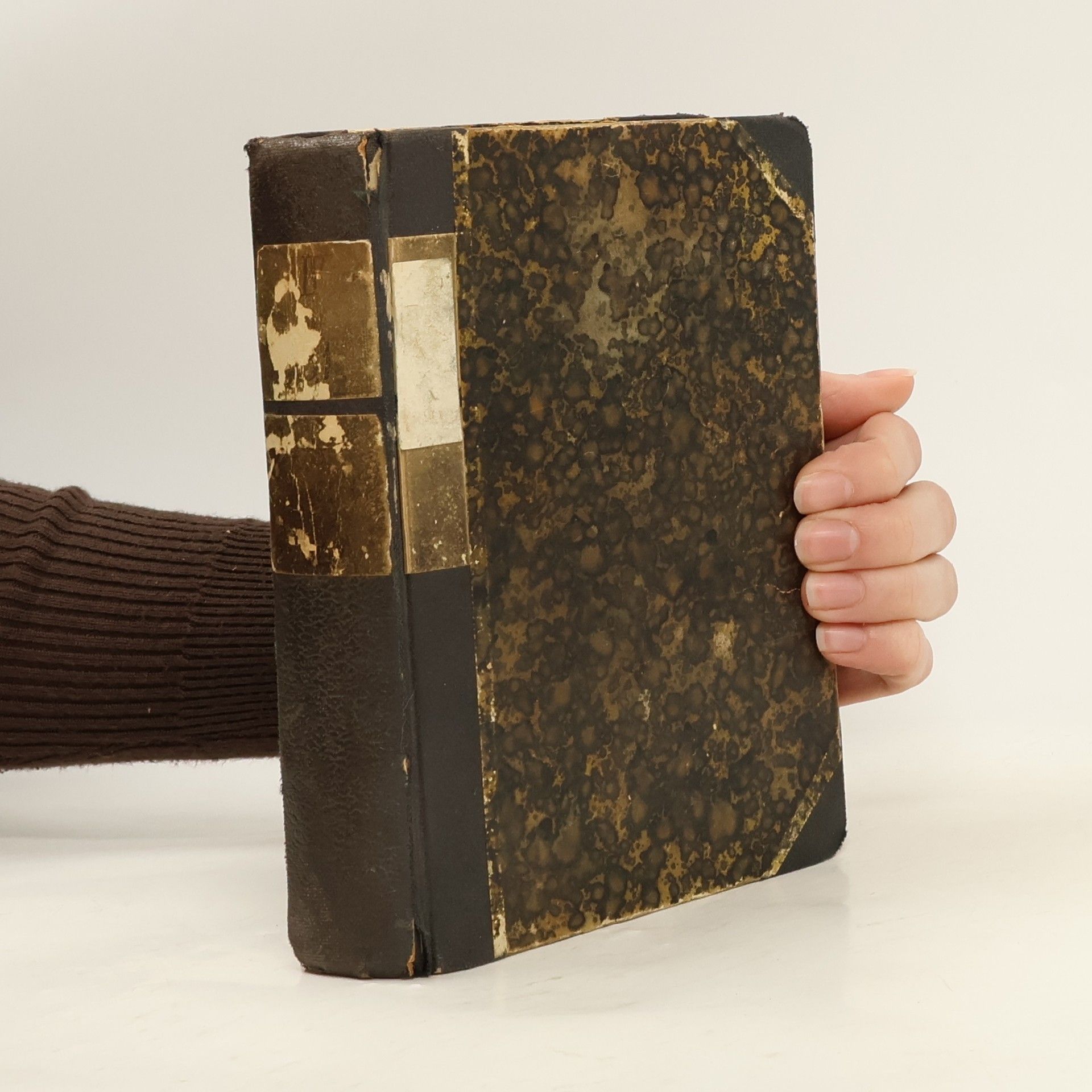 Alois Jirásek Husitský král. Výjevy z velkého dramatu