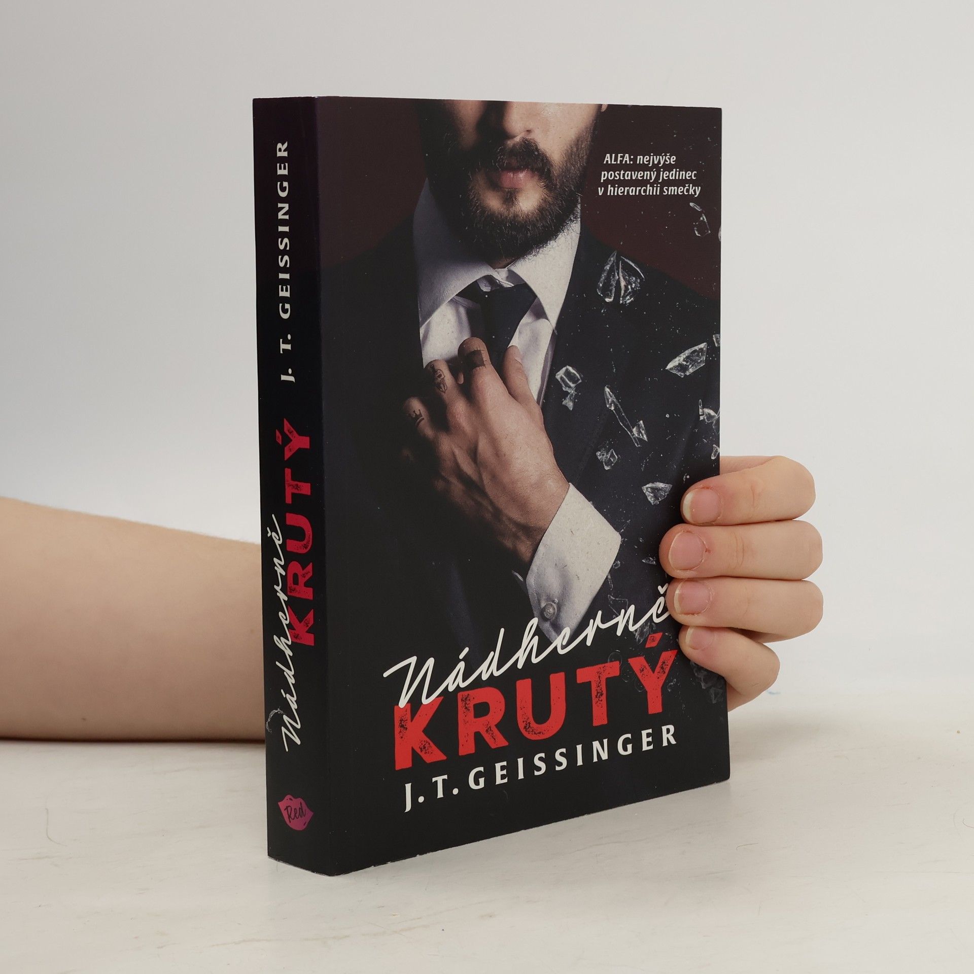 J. T. Geissinger Nádherně krutý