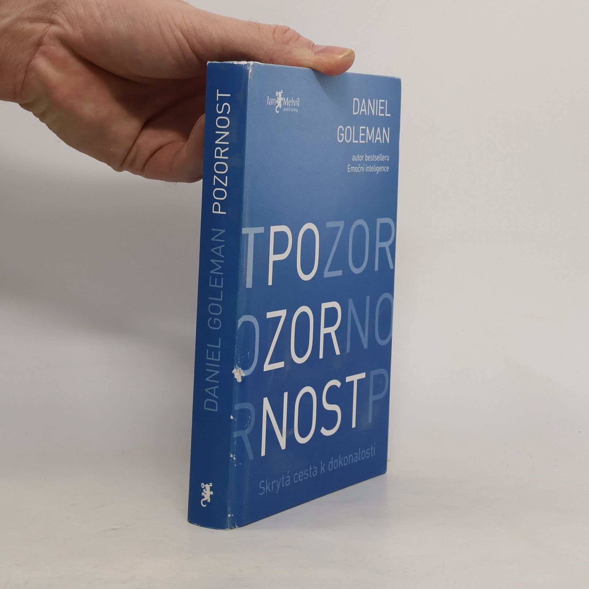 Daniel Goleman Pozornost. Skrytá cesta k dokonalosti
