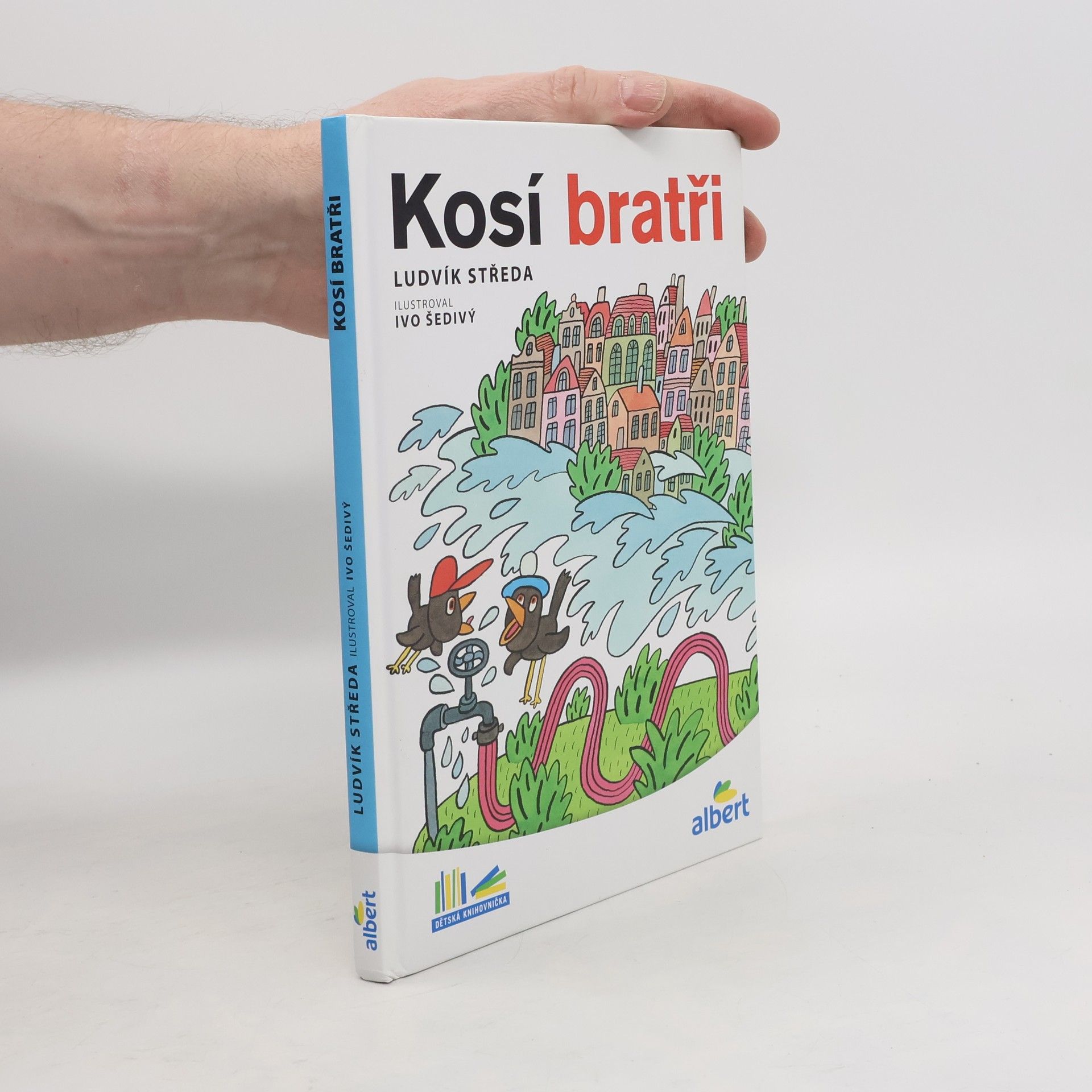 Ludvík Středa Kosí bratři