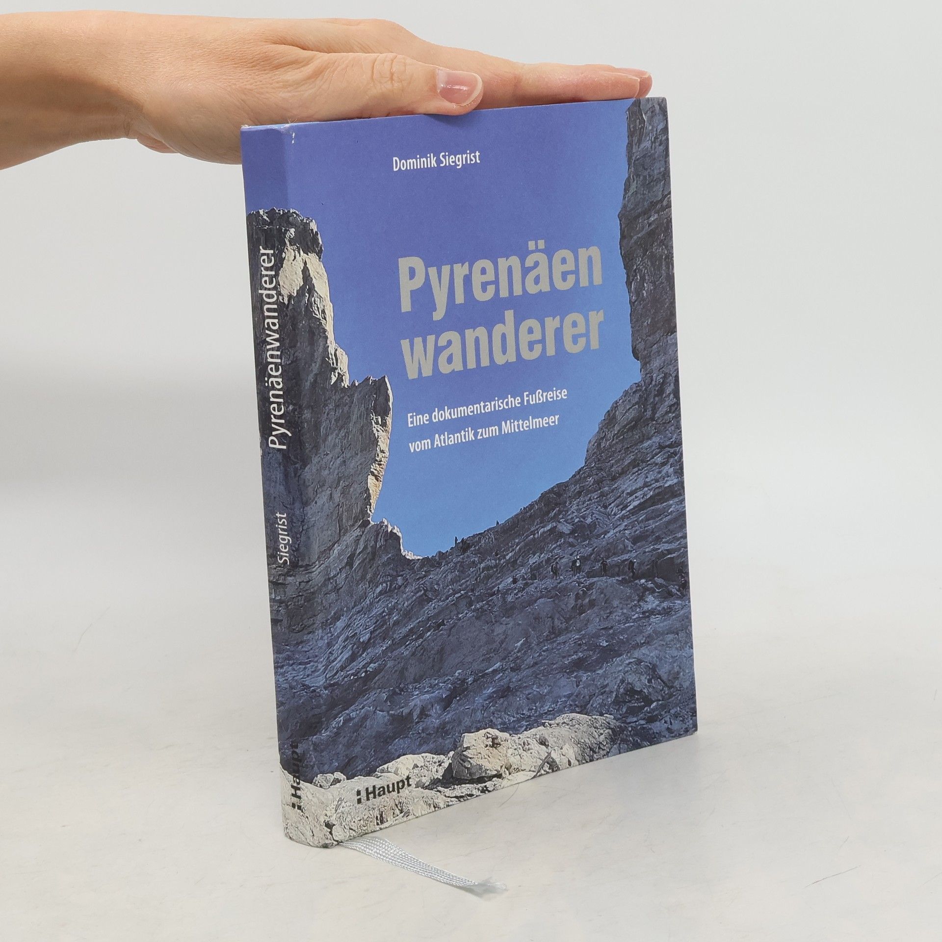 Pyrenäenwanderer. Eine dokumentarische Fußreise vom Atlantik zum Mittelmeer