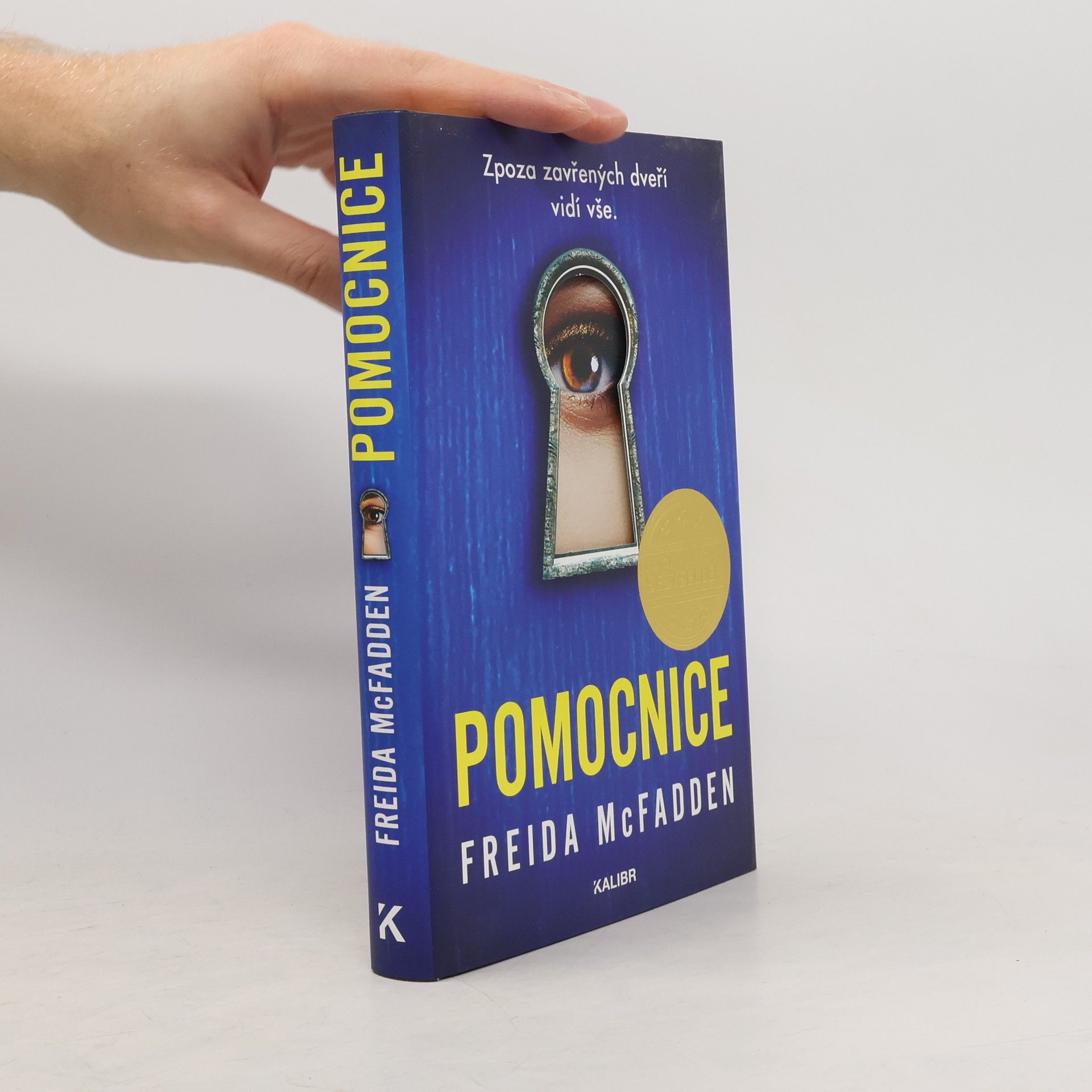 Freida McFadden Pomocnice