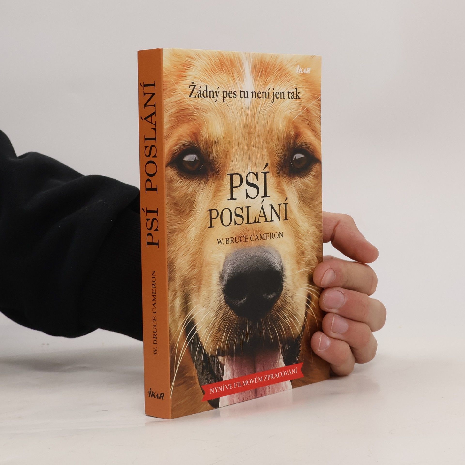 W. Bruce Cameron Psí poslání. Žádný pes tu není jen tak