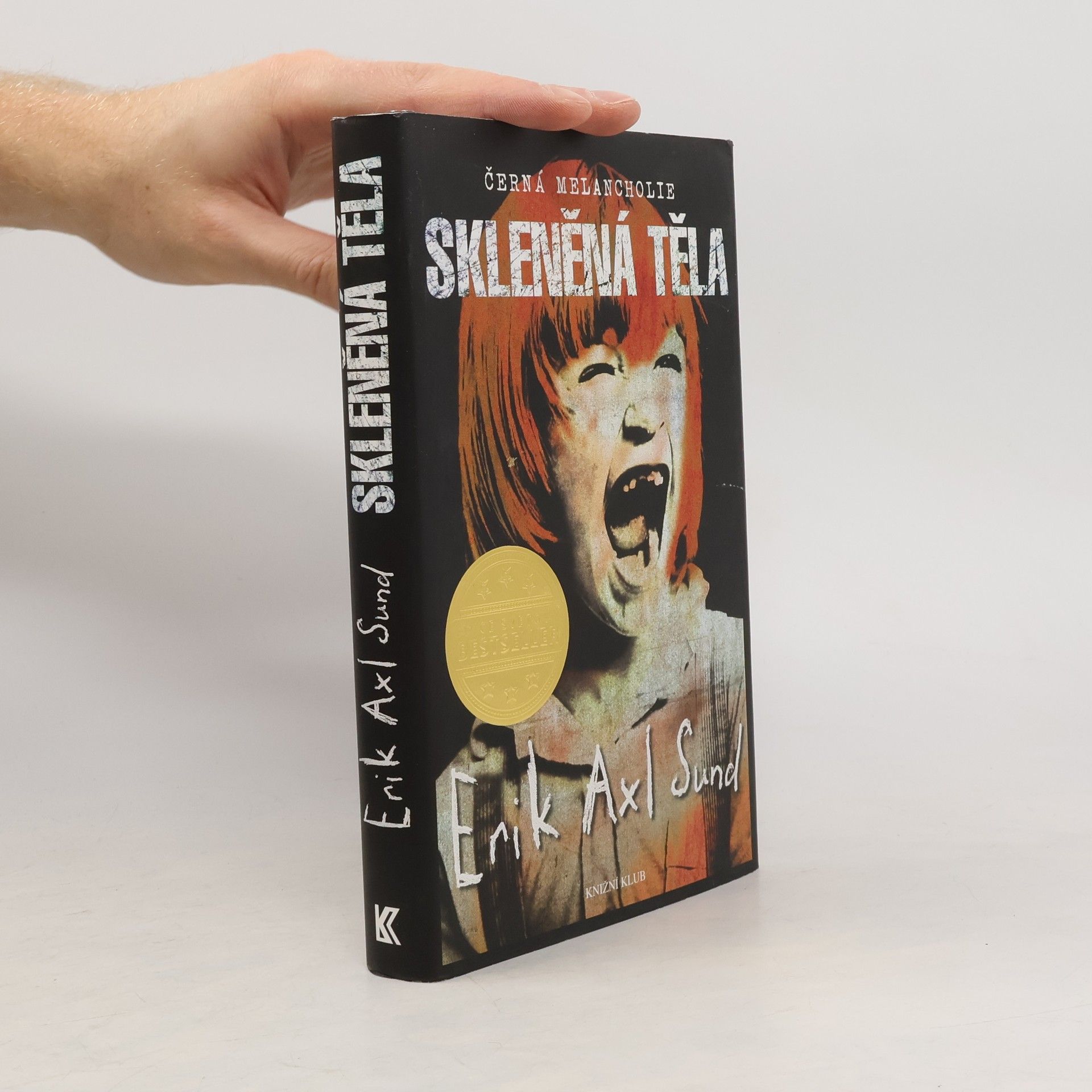 Erik Axl Sund Skleněná těla. Černá melancholie