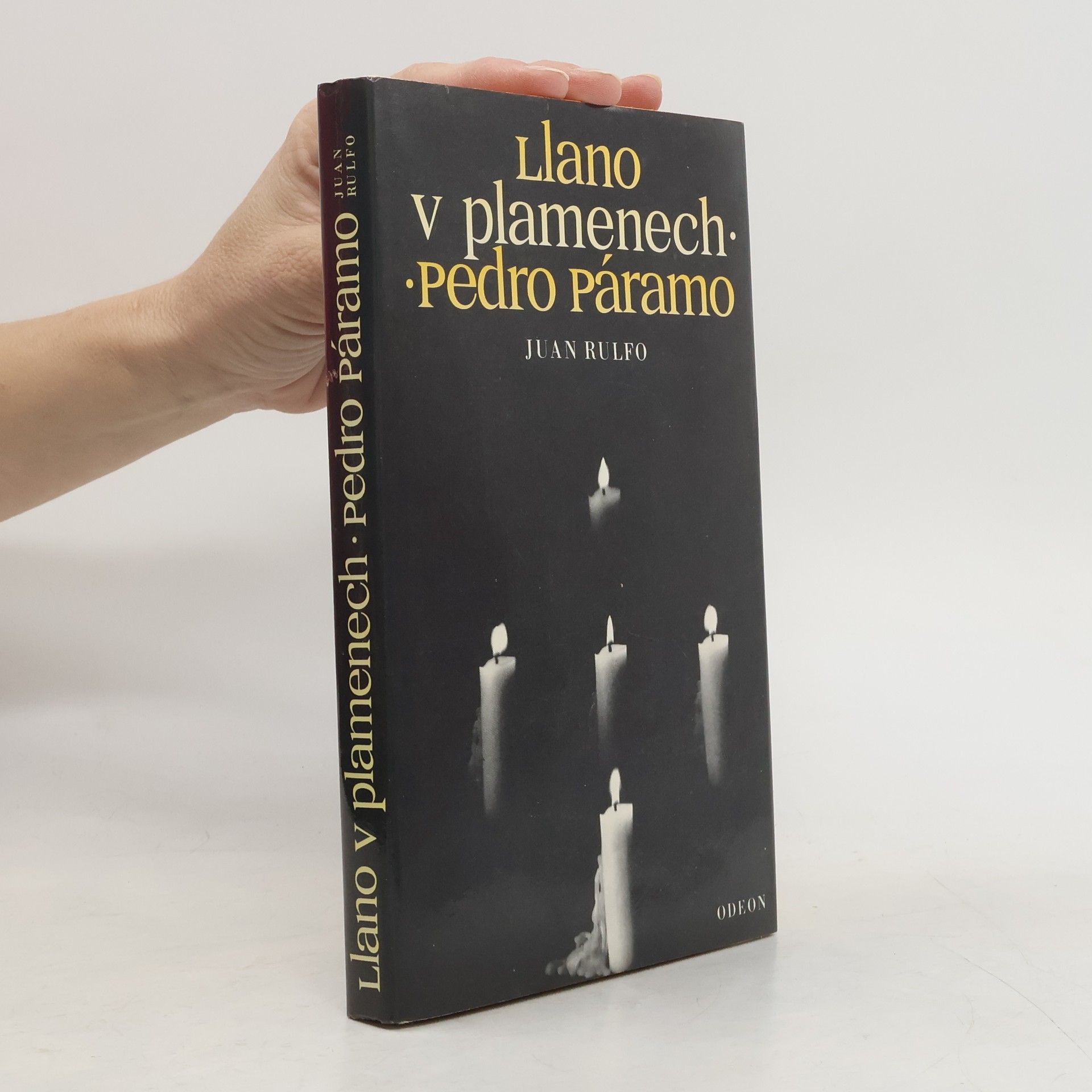 Llano v plamenech. Pedro Páramo
