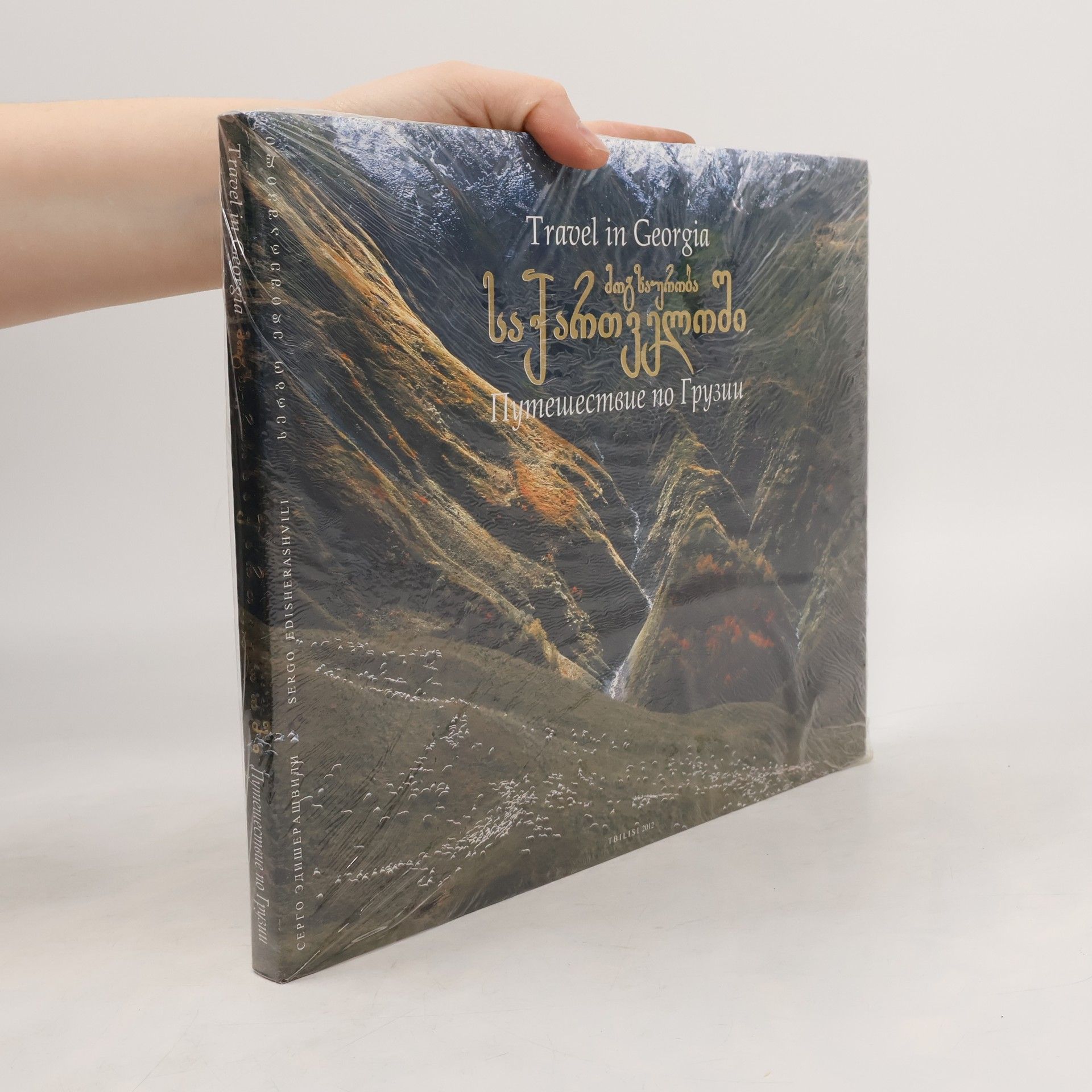 AA.VV. Travel in Georgia. Путешествие по Грузии