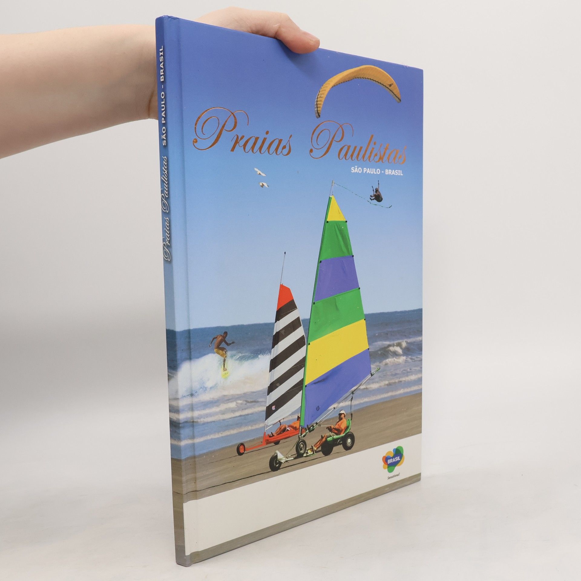 Kolektív autorov Praias Paulistas