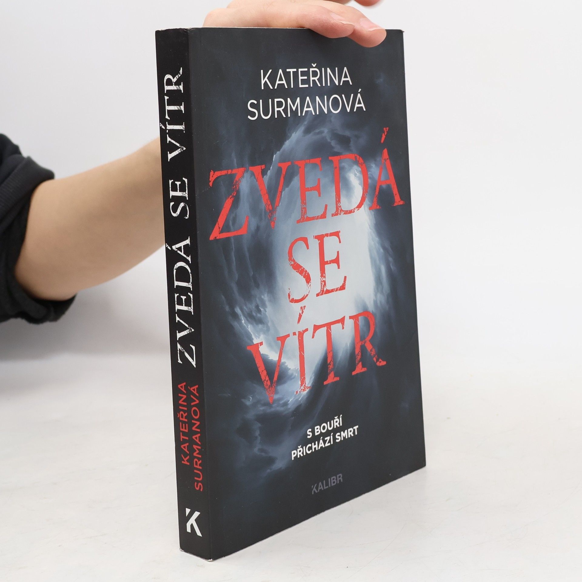 Kateřina Surmanová Zvedá se vítr