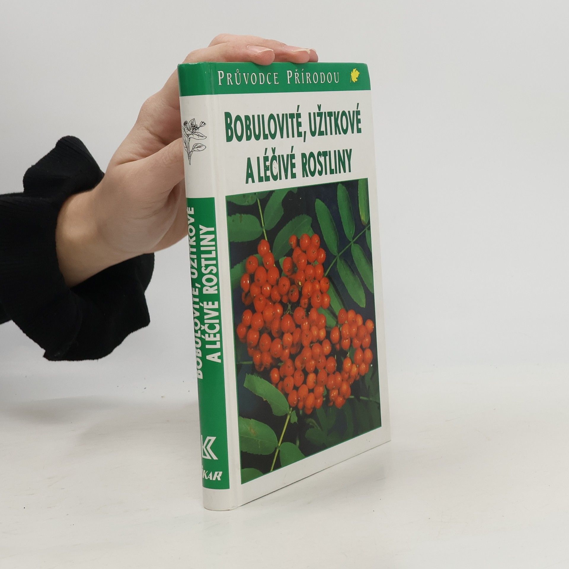 Jürke Grau Bobulovité, užitkové a léčivé rostliny