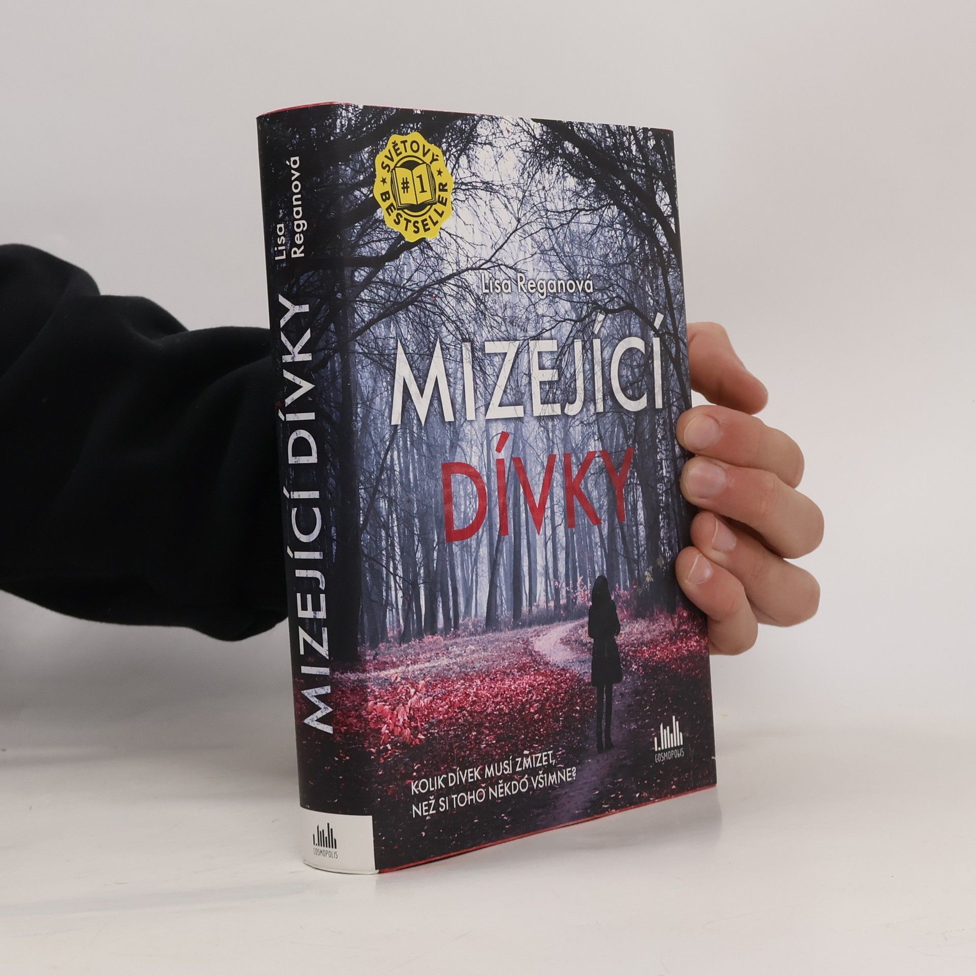 Lisa Regan Mizející dívky