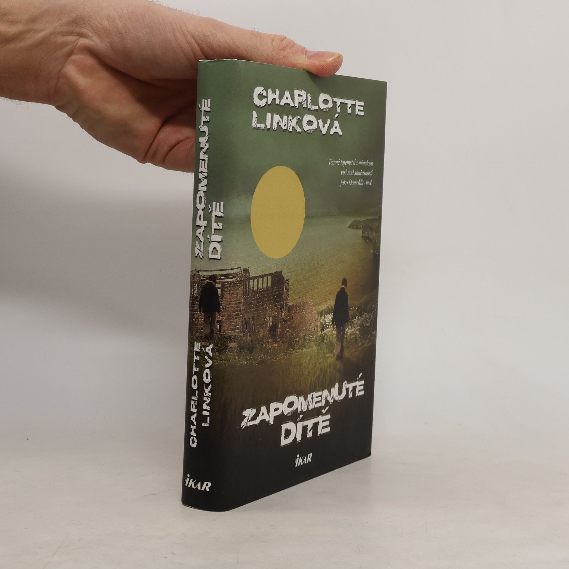 Charlotte Link Zapomenuté dítě