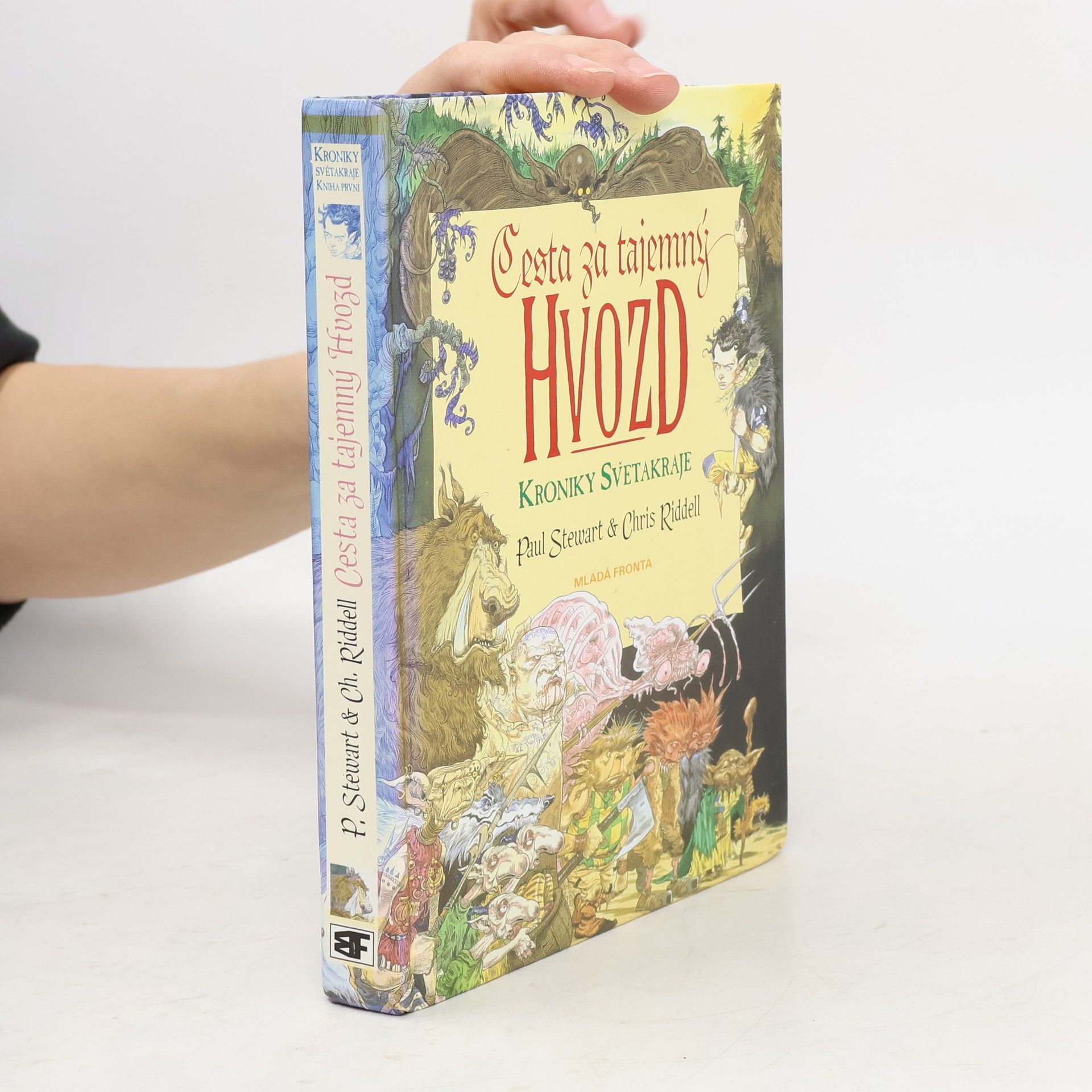 Cesta za tajemný Hvozd. Kniha první