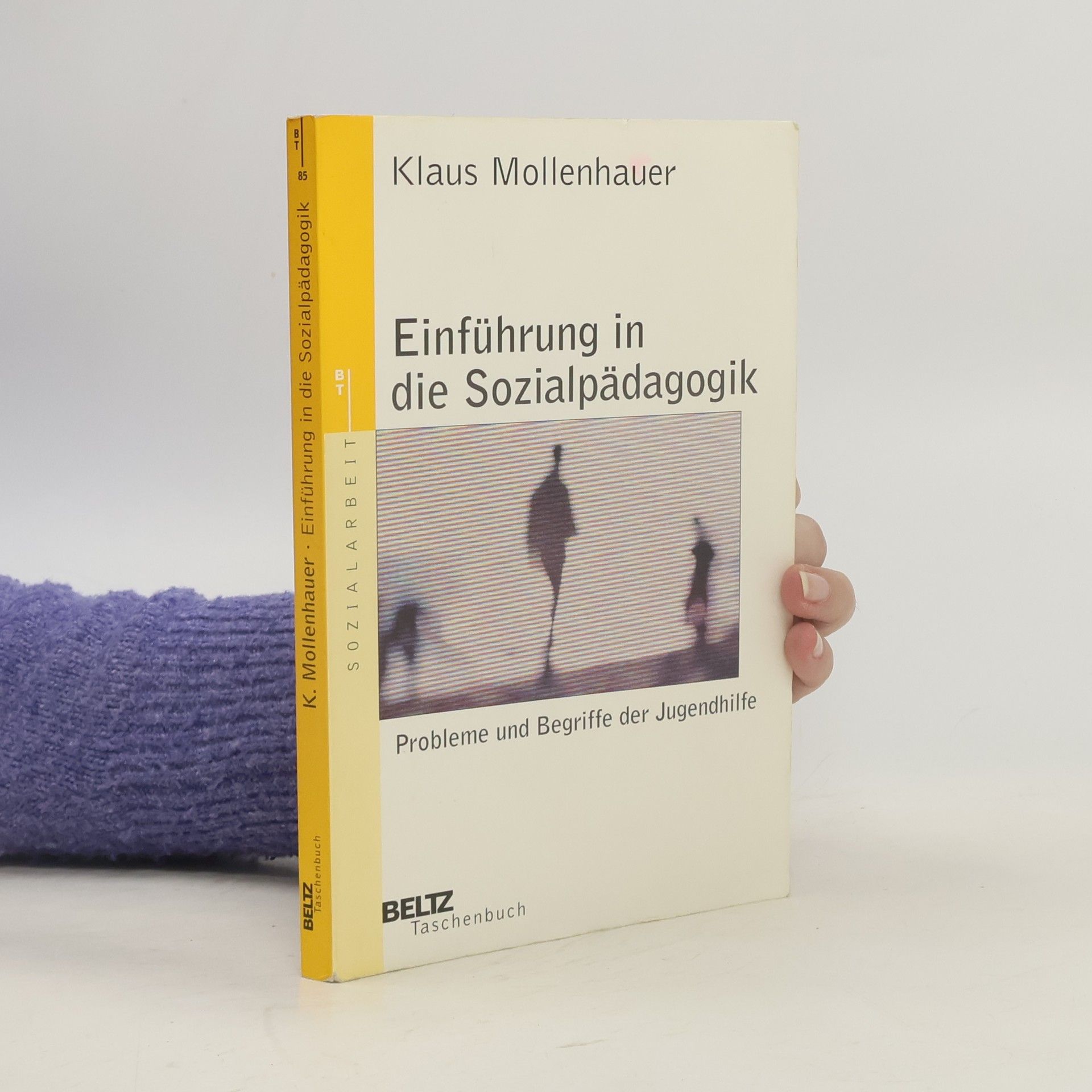 Einführung in die Sozialpädagogik