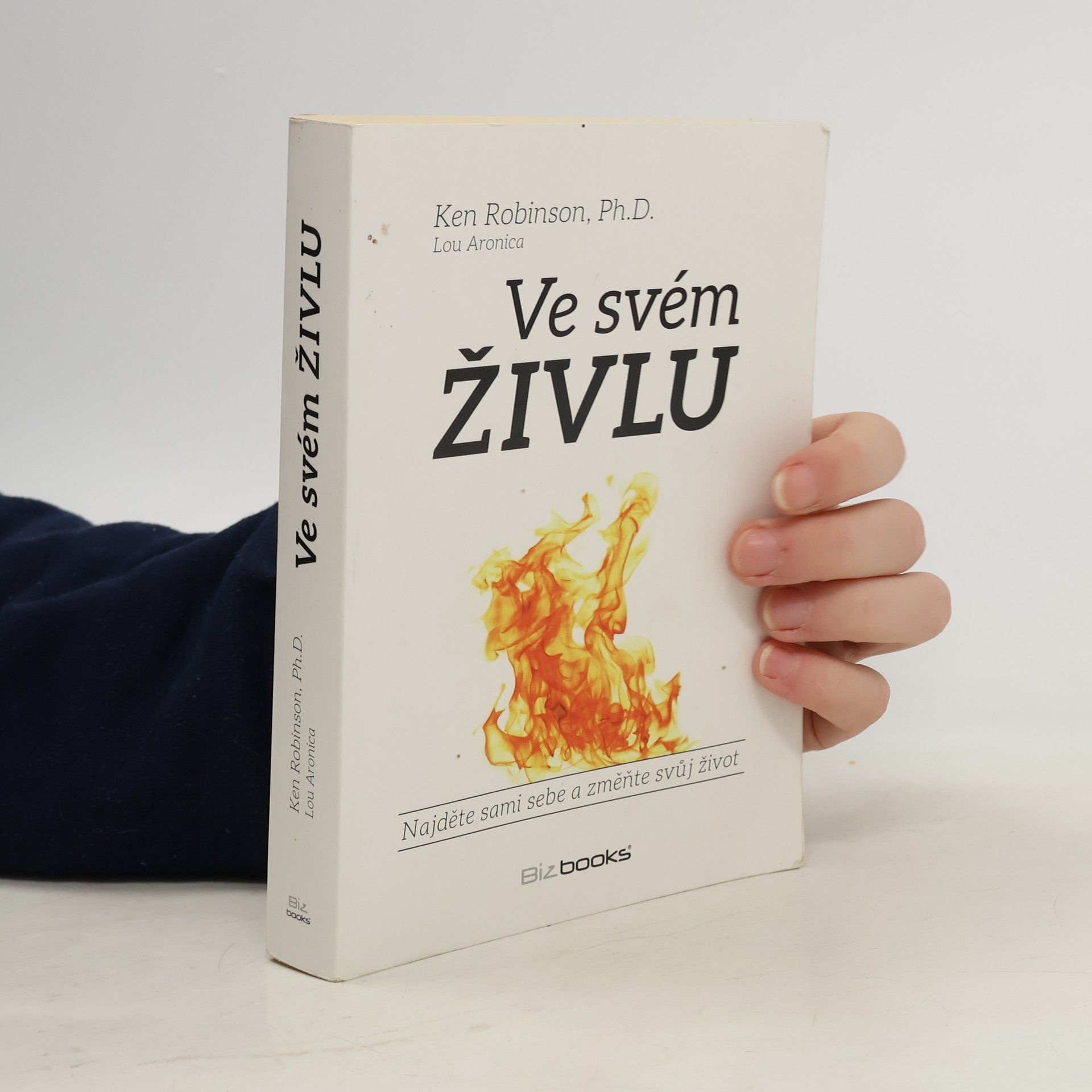 Ve svém živlu. Najděte sami sebe a změňte svůj život