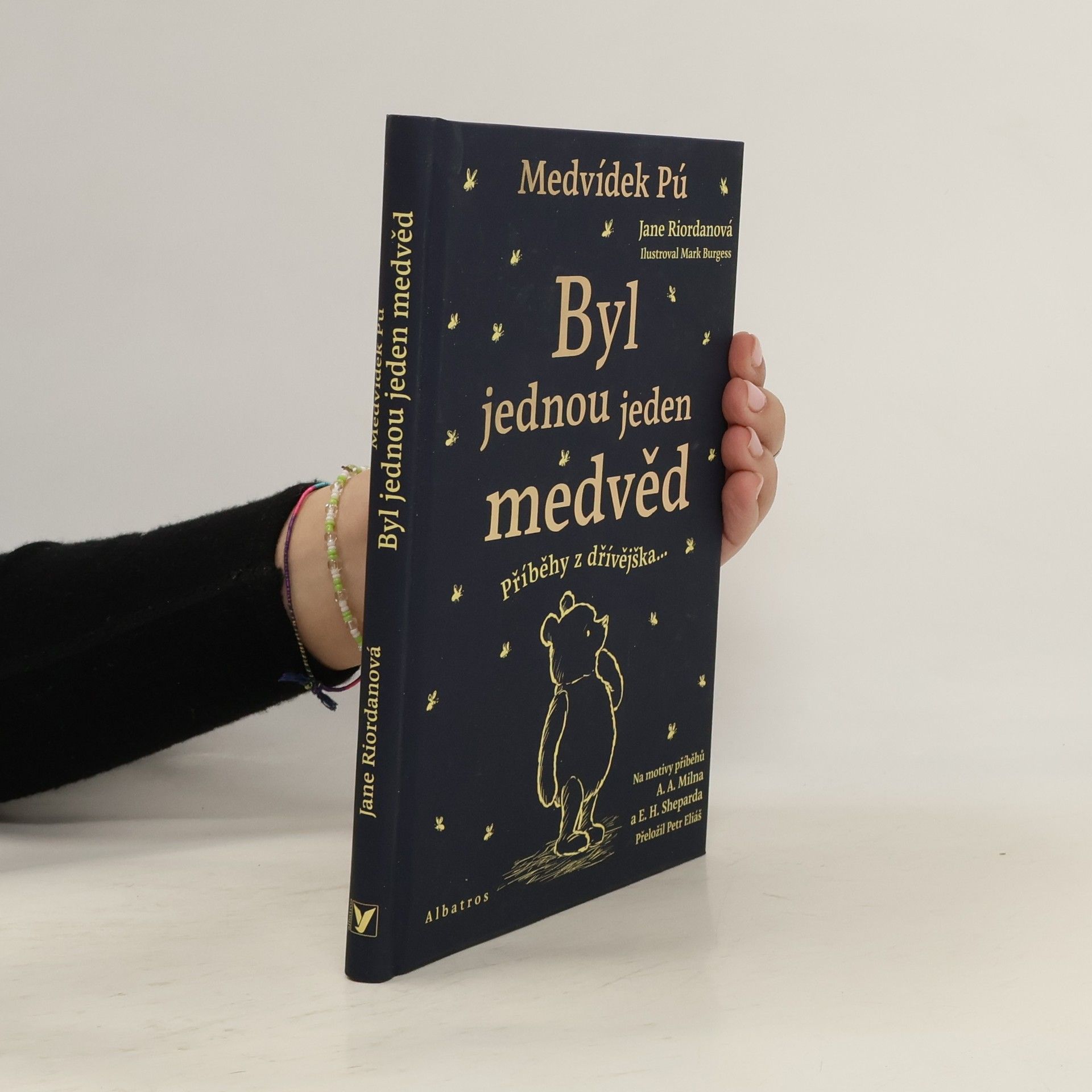 Jane Riordan Medvídek Pú. Byl jednou jeden medvěd