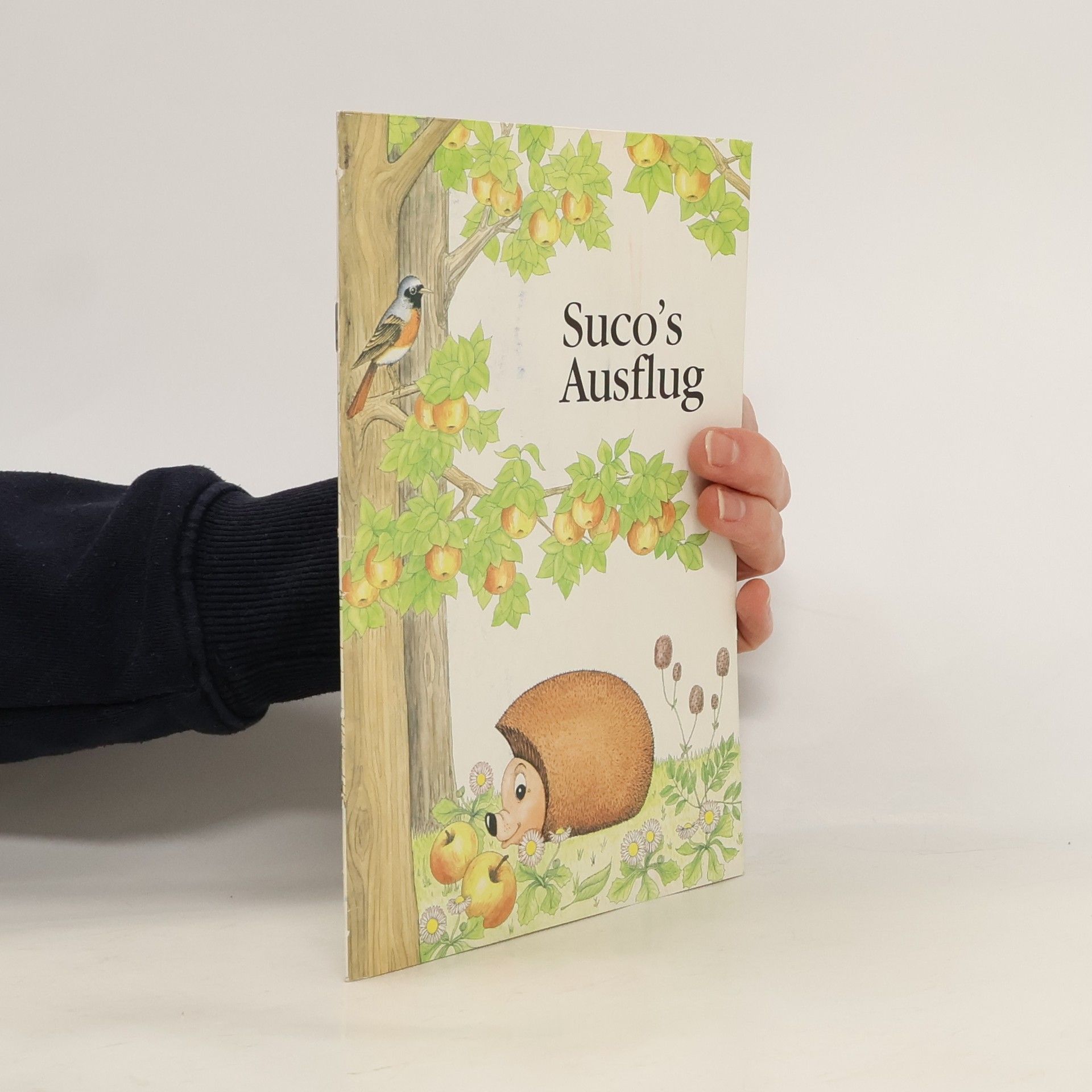 Kolektív autorov Suco´s Ausflug