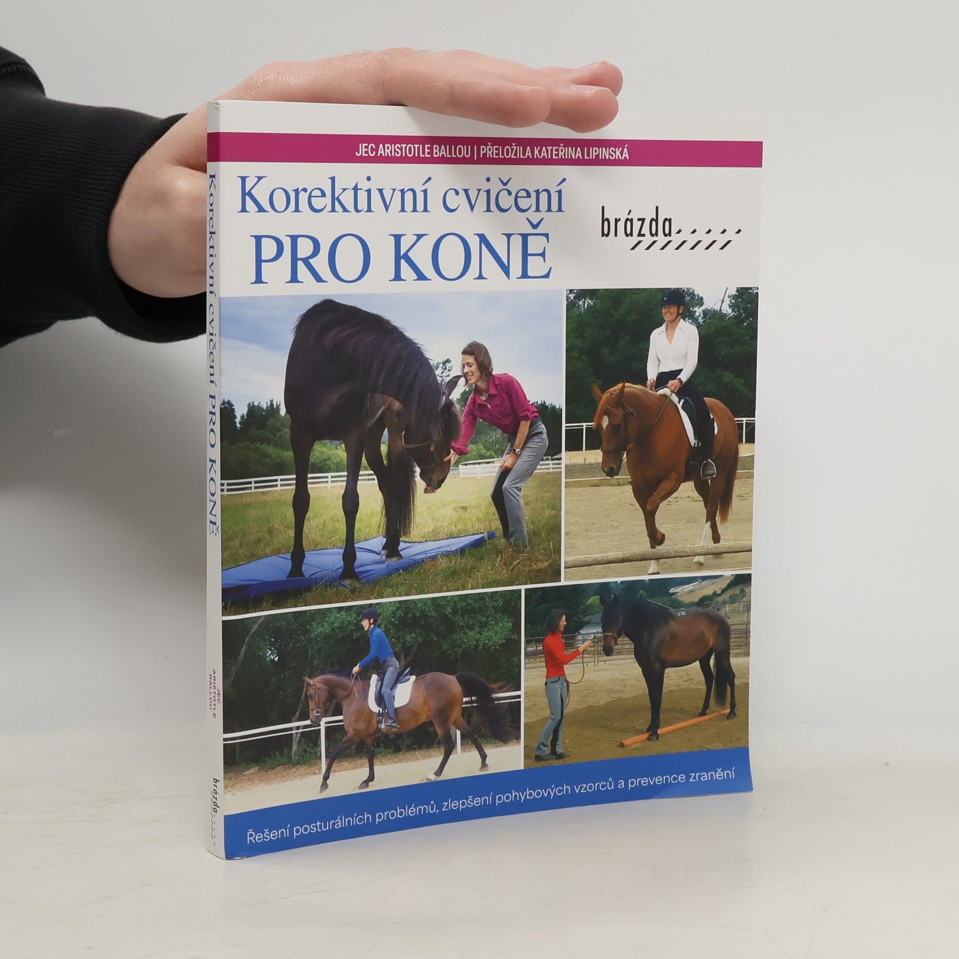 Korektivní cvičení pro koně