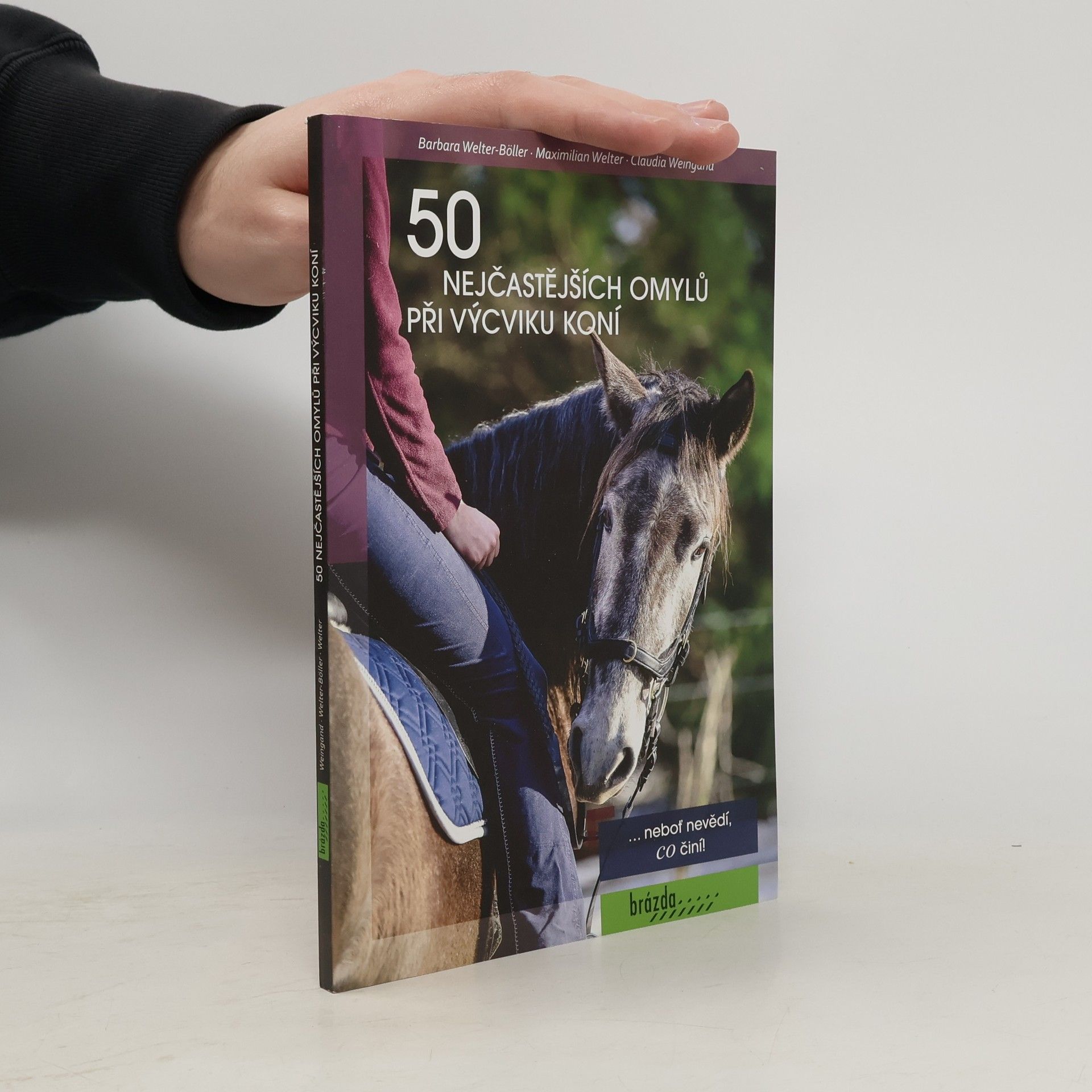 50 nejčastějších omylů při výcviku koní