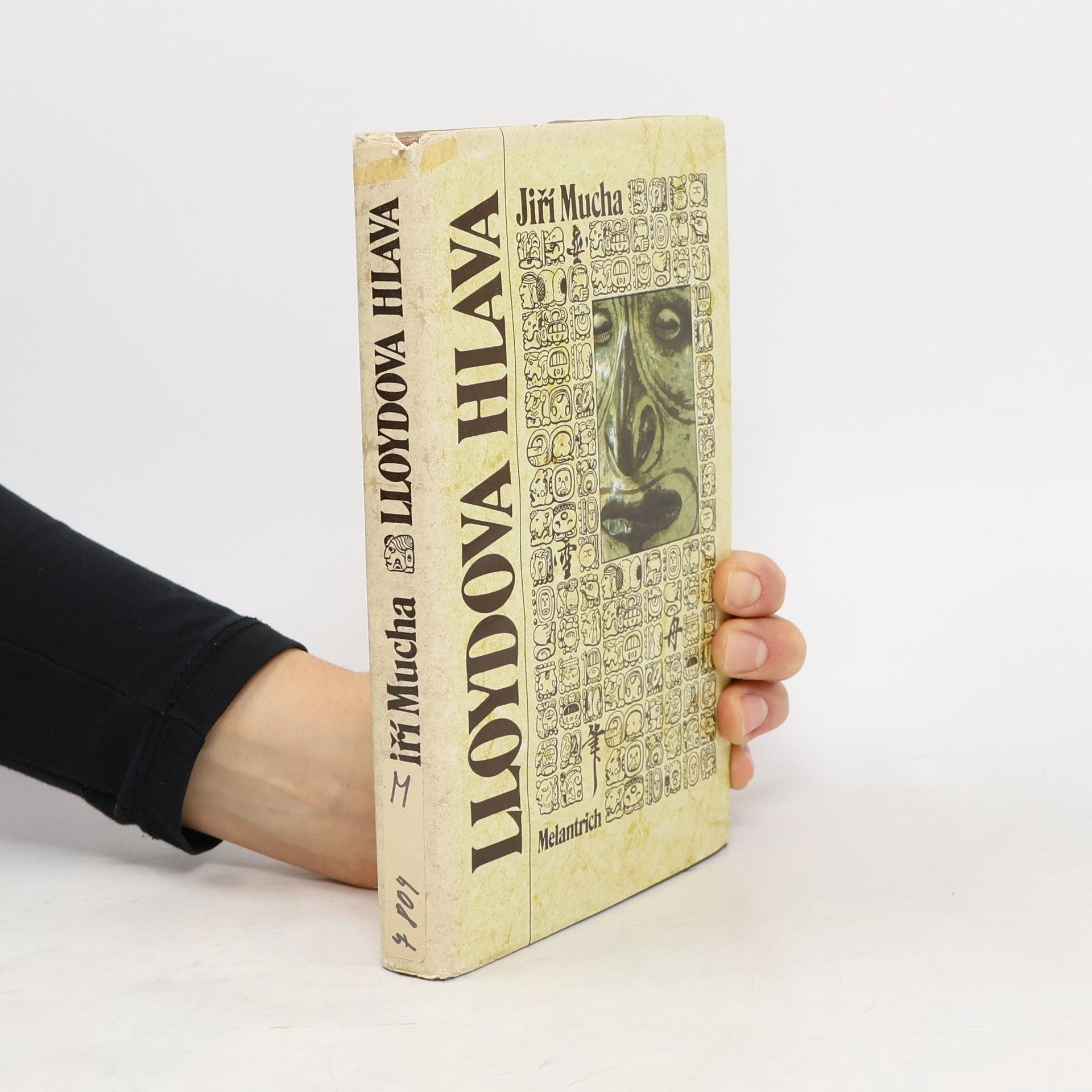 Jiří Mucha Lloydova hlava