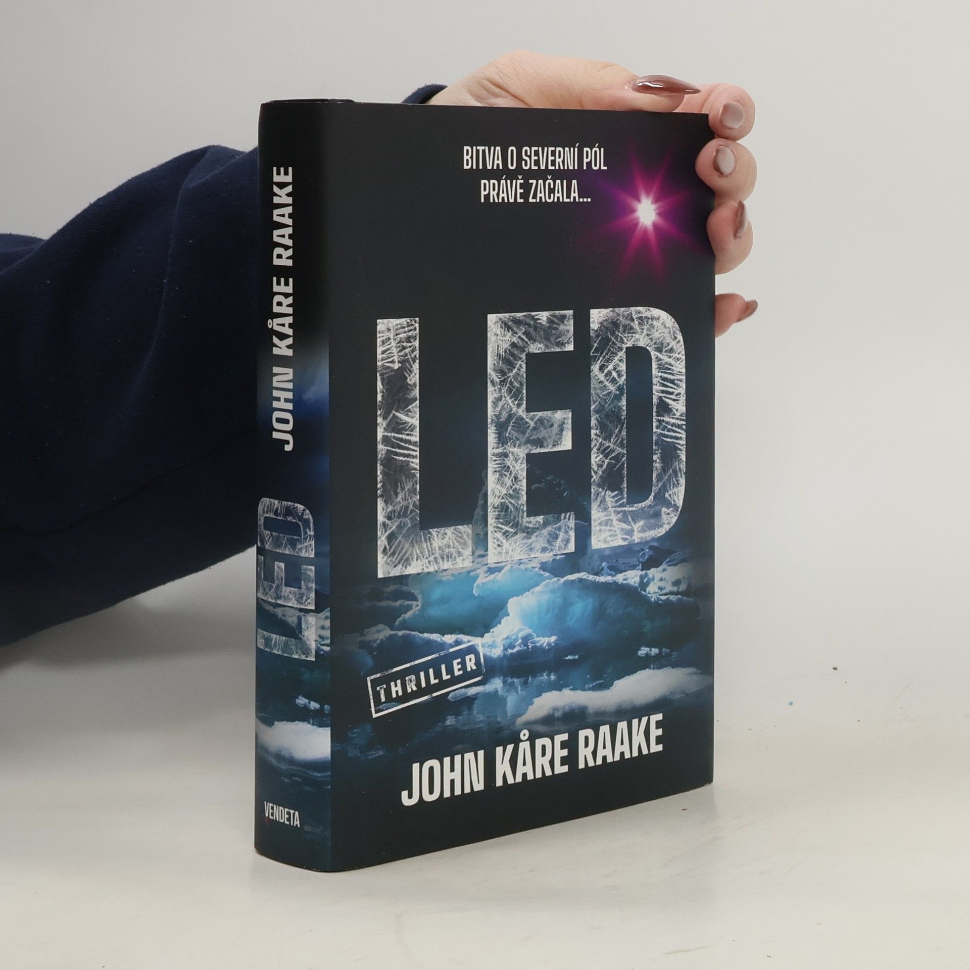 John Kåre Raake Led