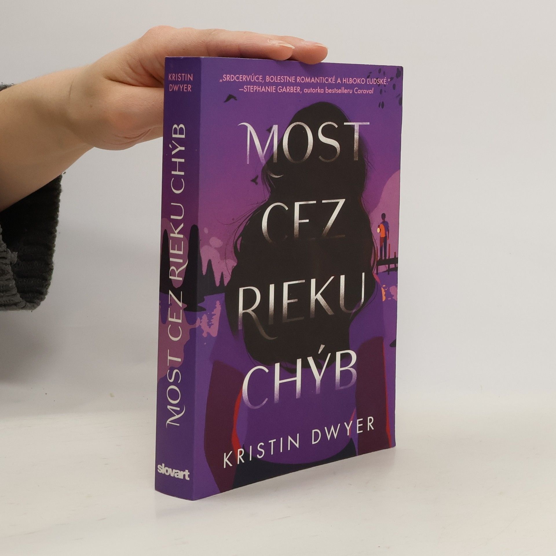 Kristin Dwyer Most cez rieku chýb