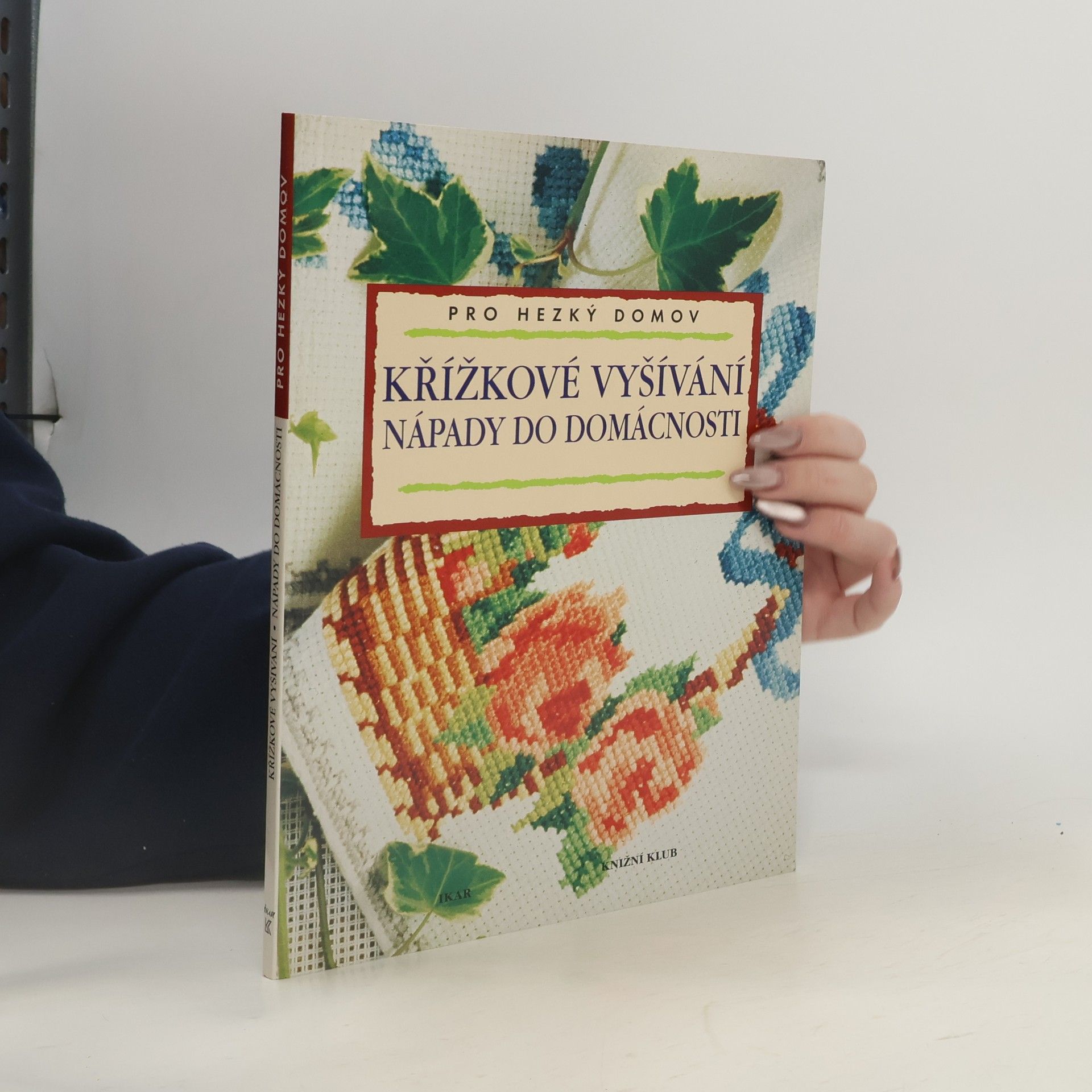 Eva Bednářová Křížkové vyšívání. Nápady do domácnosti