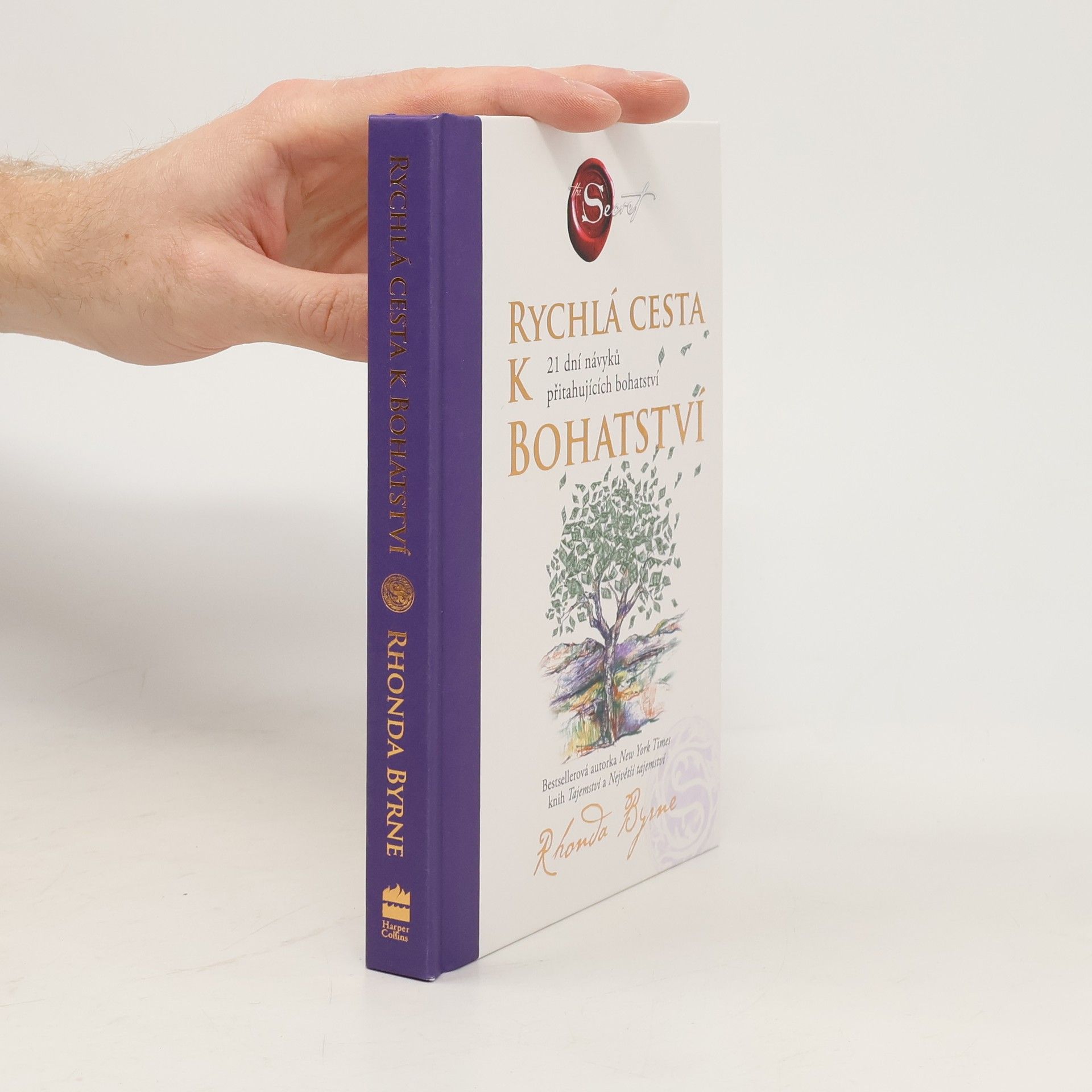 Rychlá cesta k bohatství : 21 dní návyků přitahujících bohatství