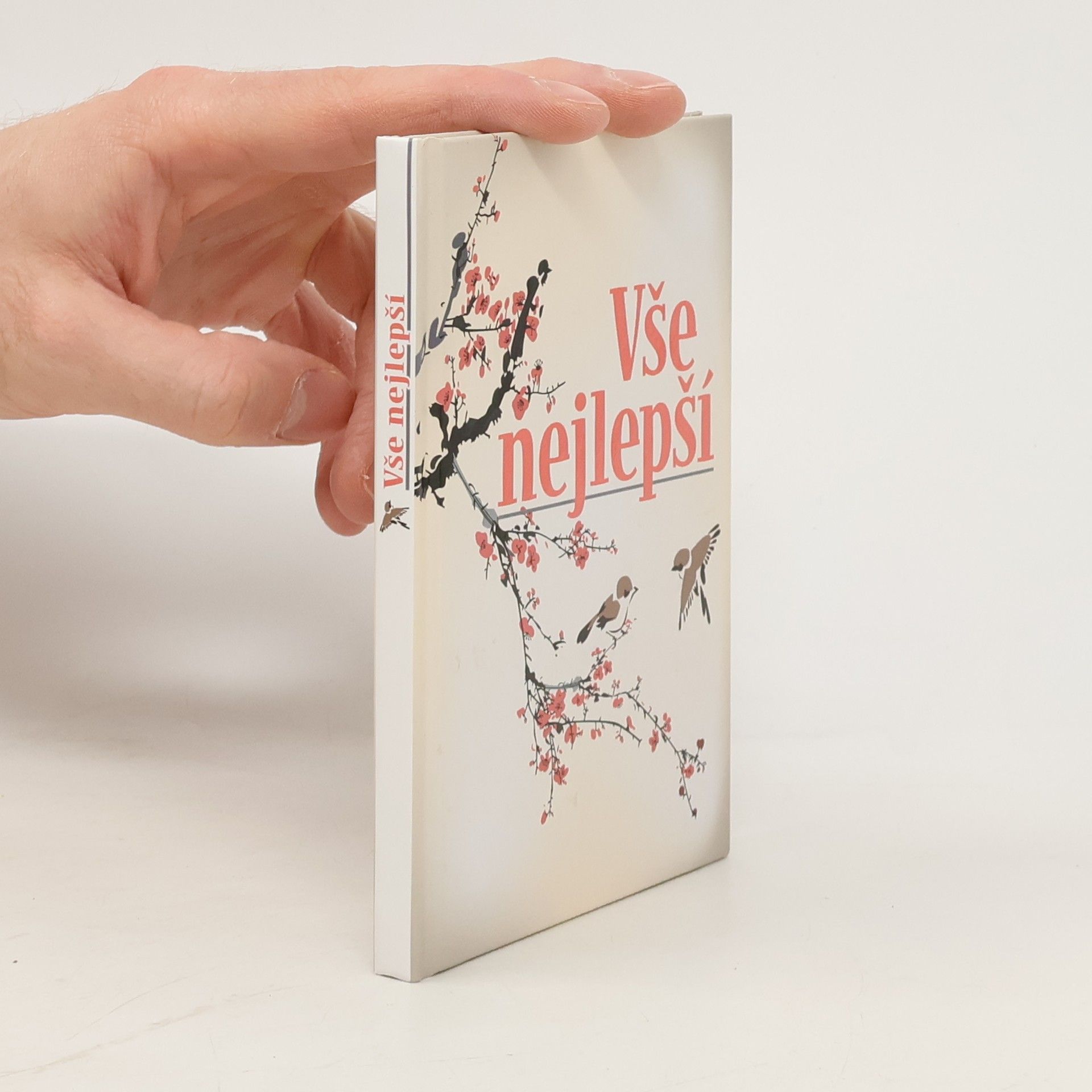 Kolektív autorov Vše nejlepší