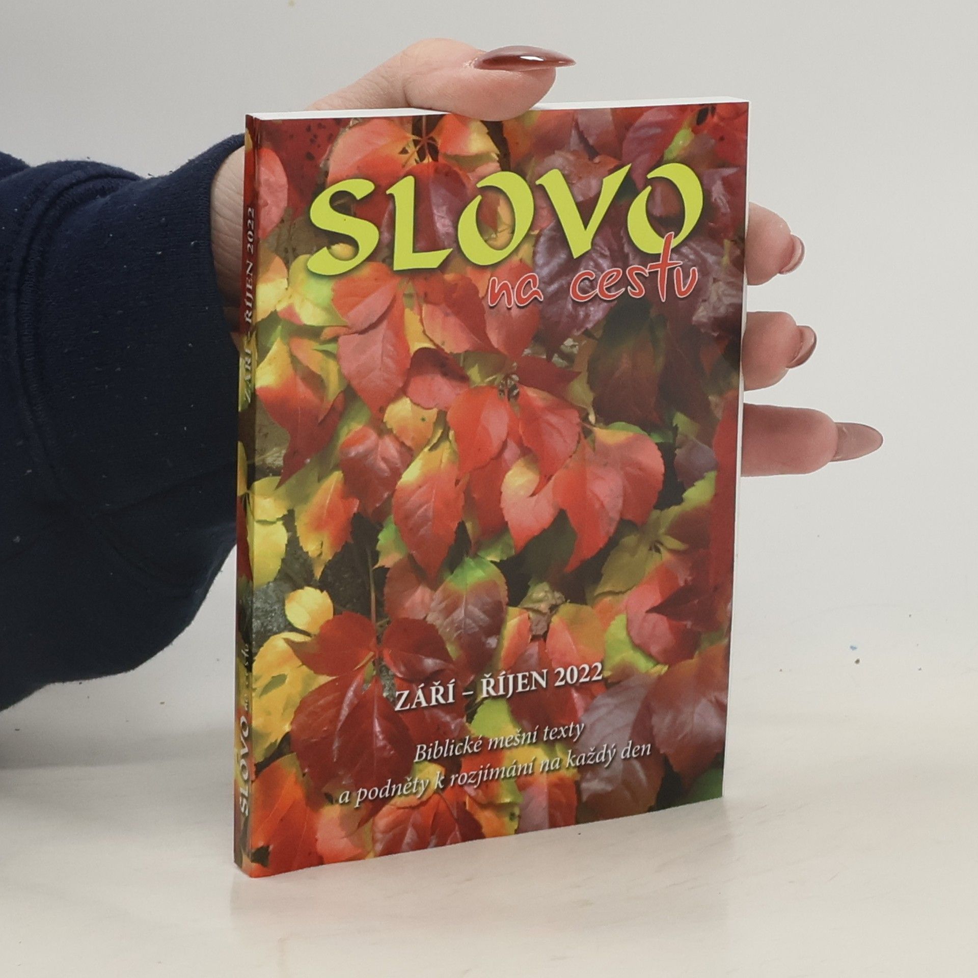 Kolektív autorov Slovo na cestu