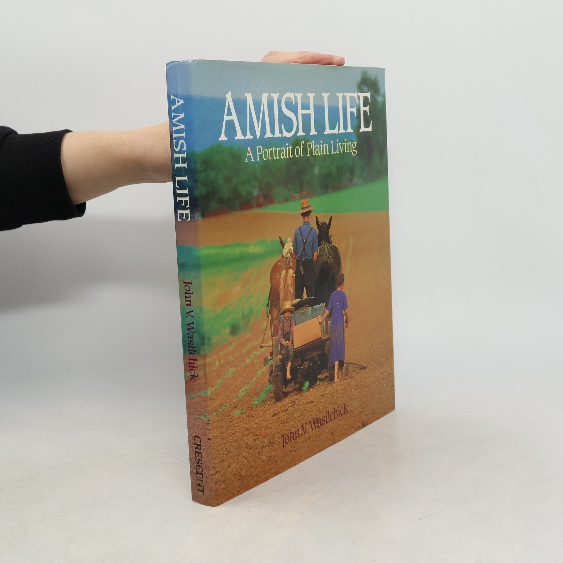 John V. Wasilchick Amish Life