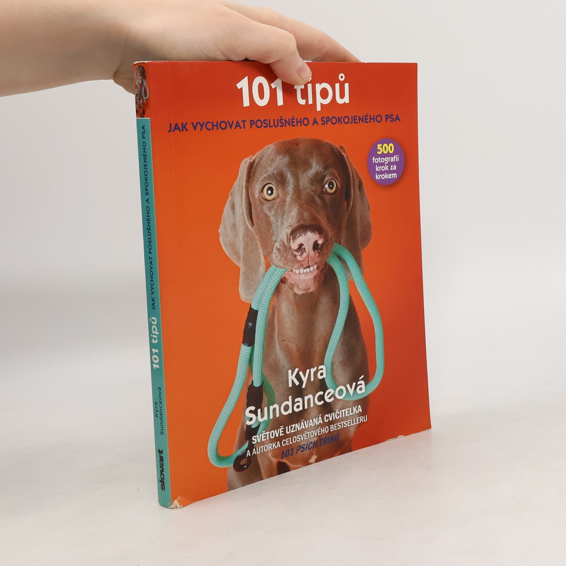 Kyra Sundance 101 tipů jak vychovat poslušného a spokojeného psa