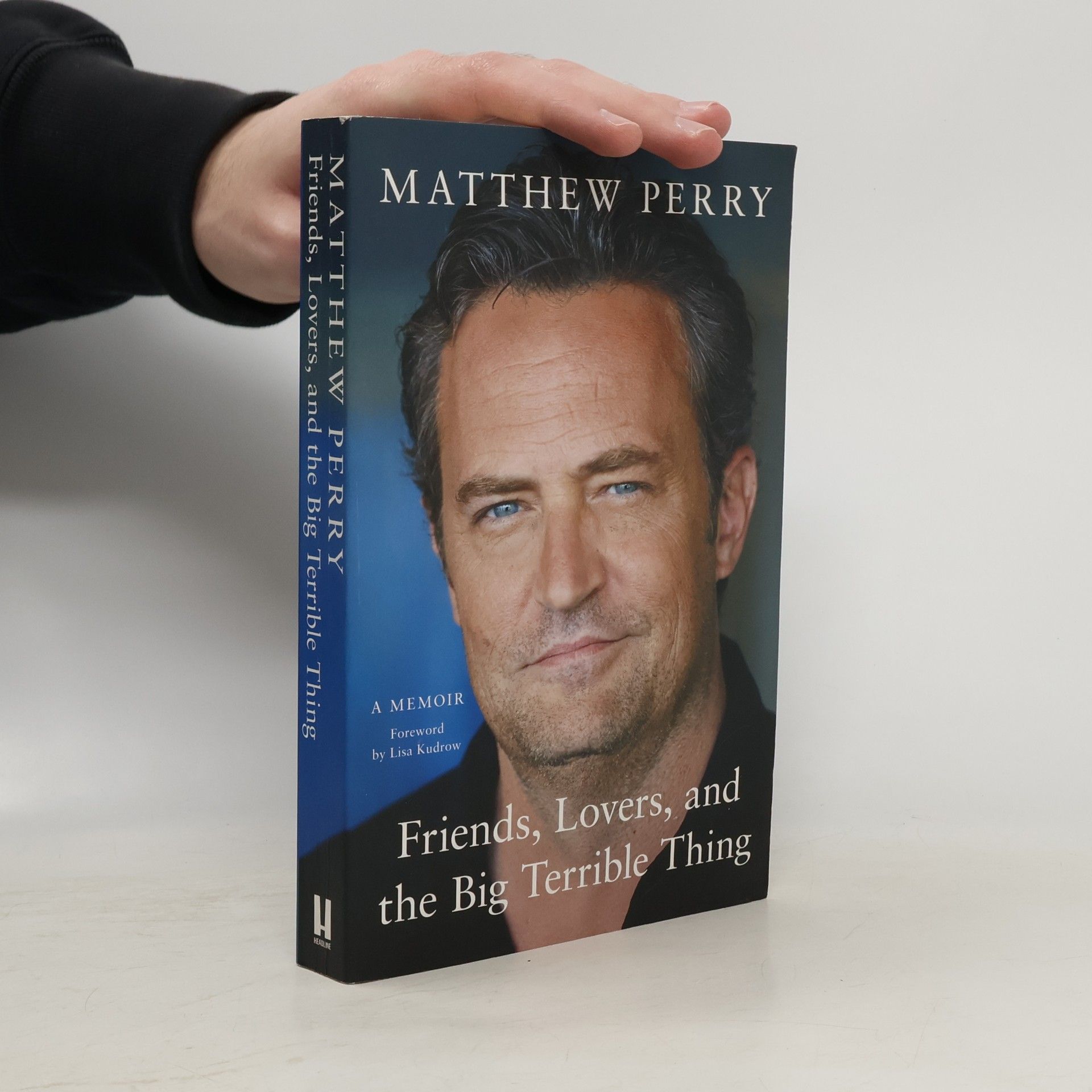 Matthew Perry Friends, Lovers and the Big Terrible Thing