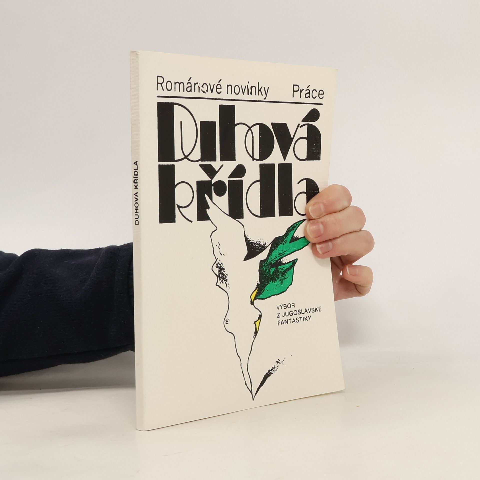 Collectif d'auteurs Duhová křídla