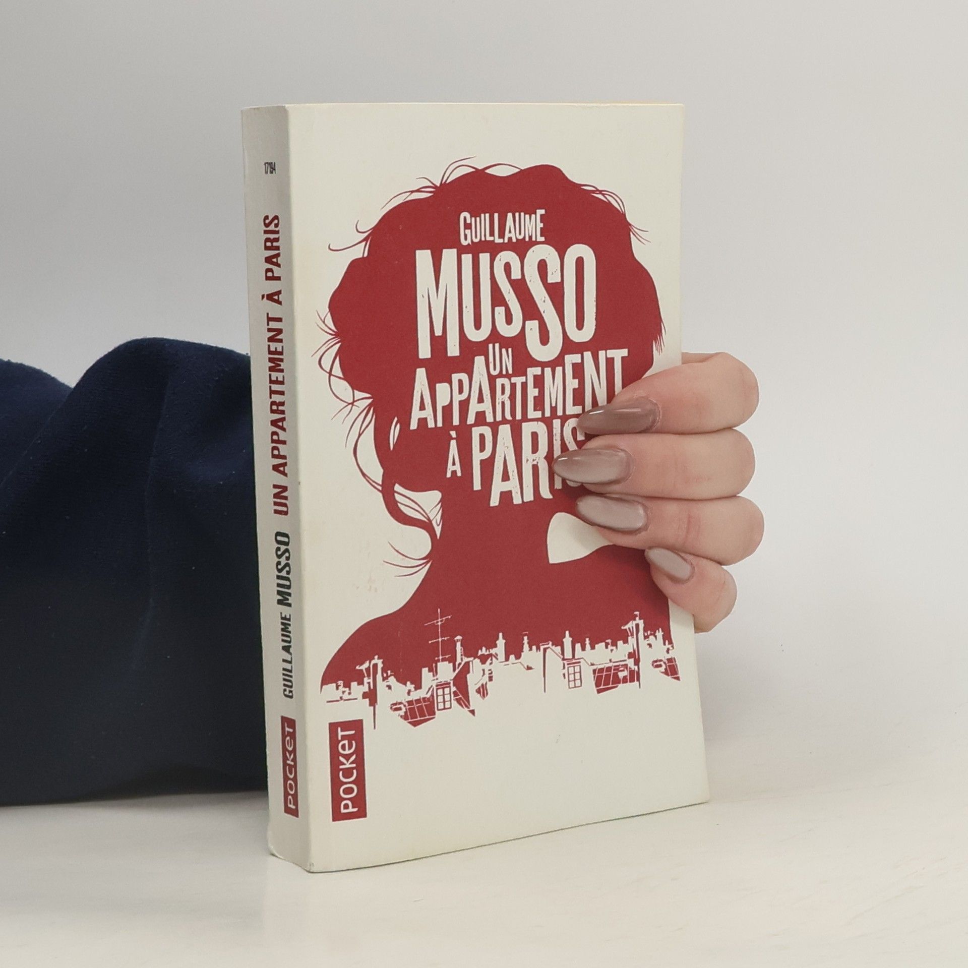 Guillaume Musso Un appartement à Paris