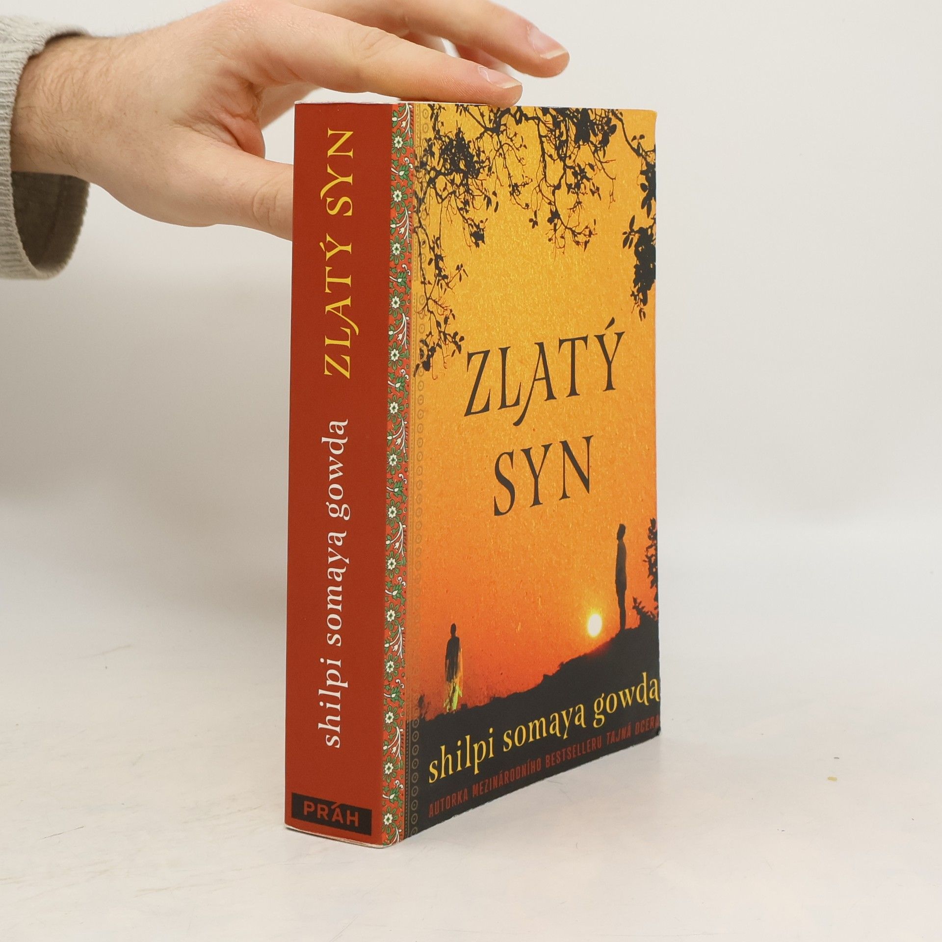 Shilpi Somaya Gowda Zlatý syn