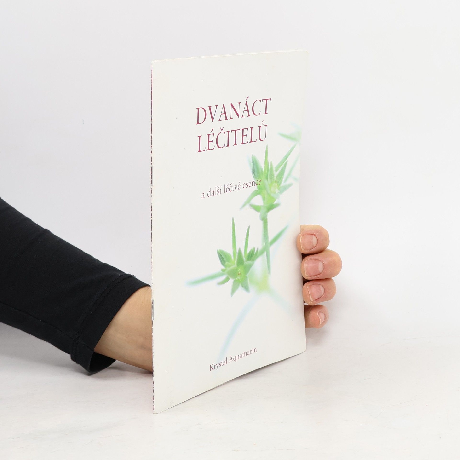 Dvanáct léčitelů a další léčivé esence