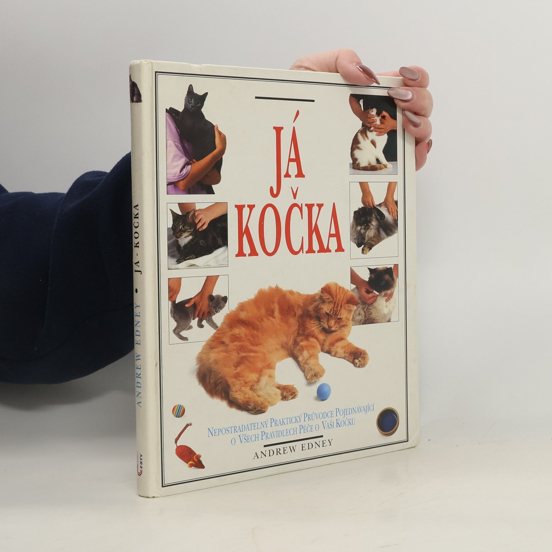 Já, kočka