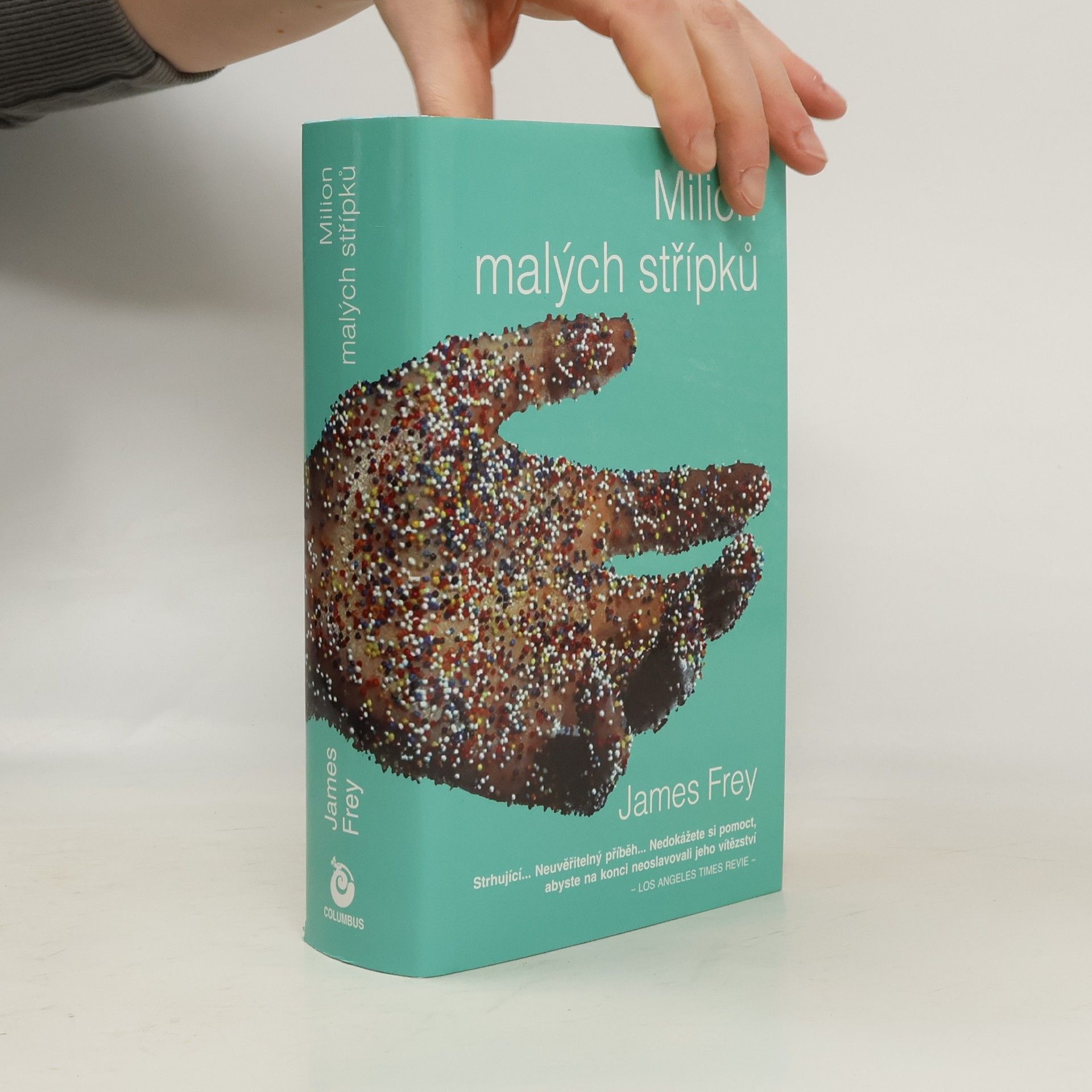 James Frey Milion malých střípků