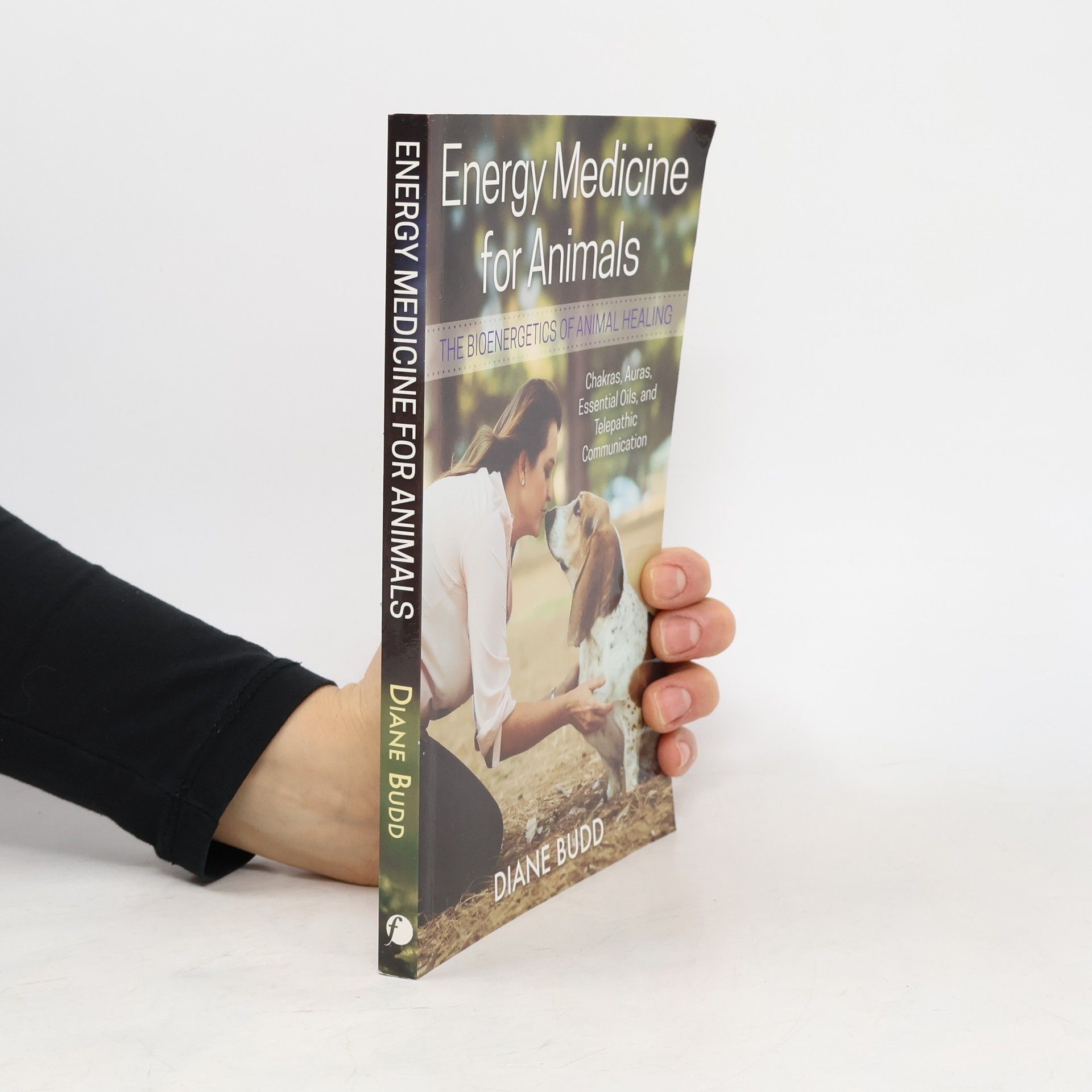 Diane Budd Energy Medicine for Animals