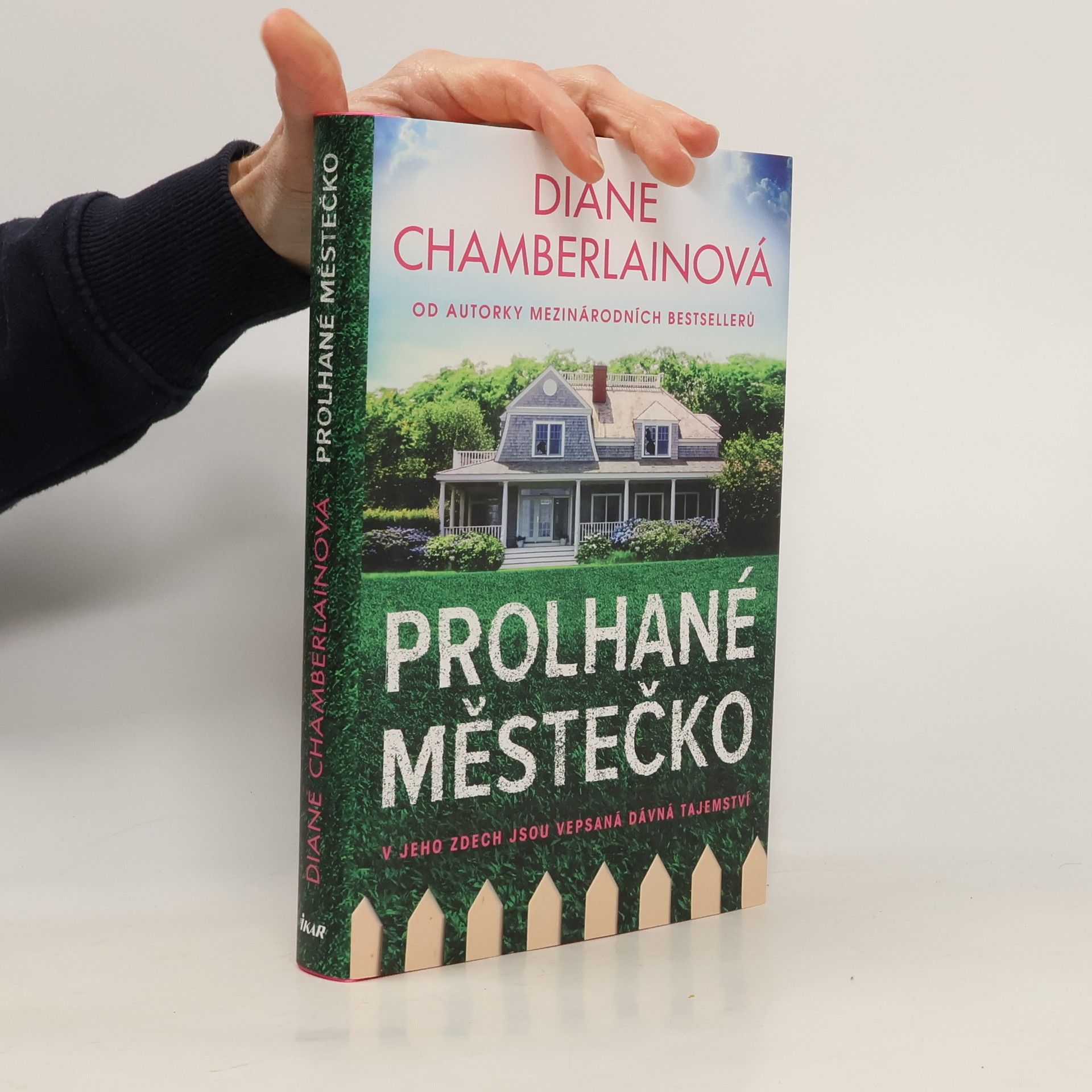 Diane Chamberlain Prolhané městečko