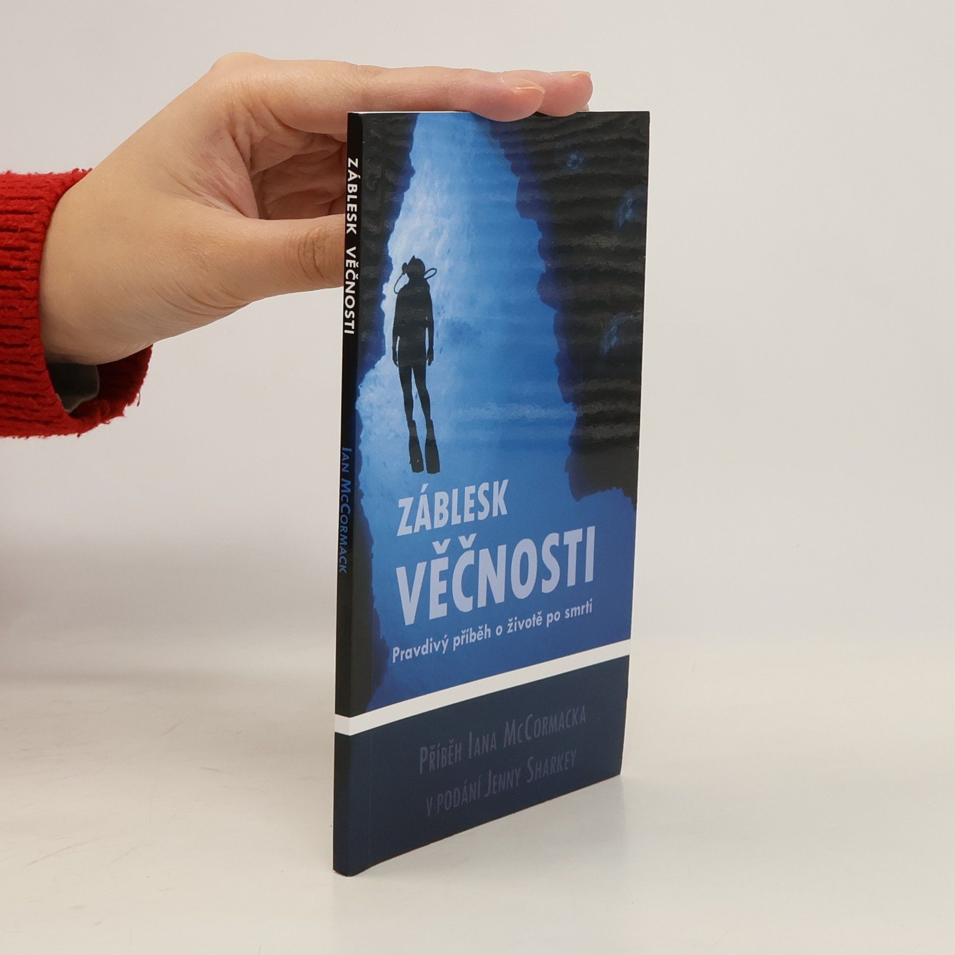 AA.VV. Záblesk věčnosti