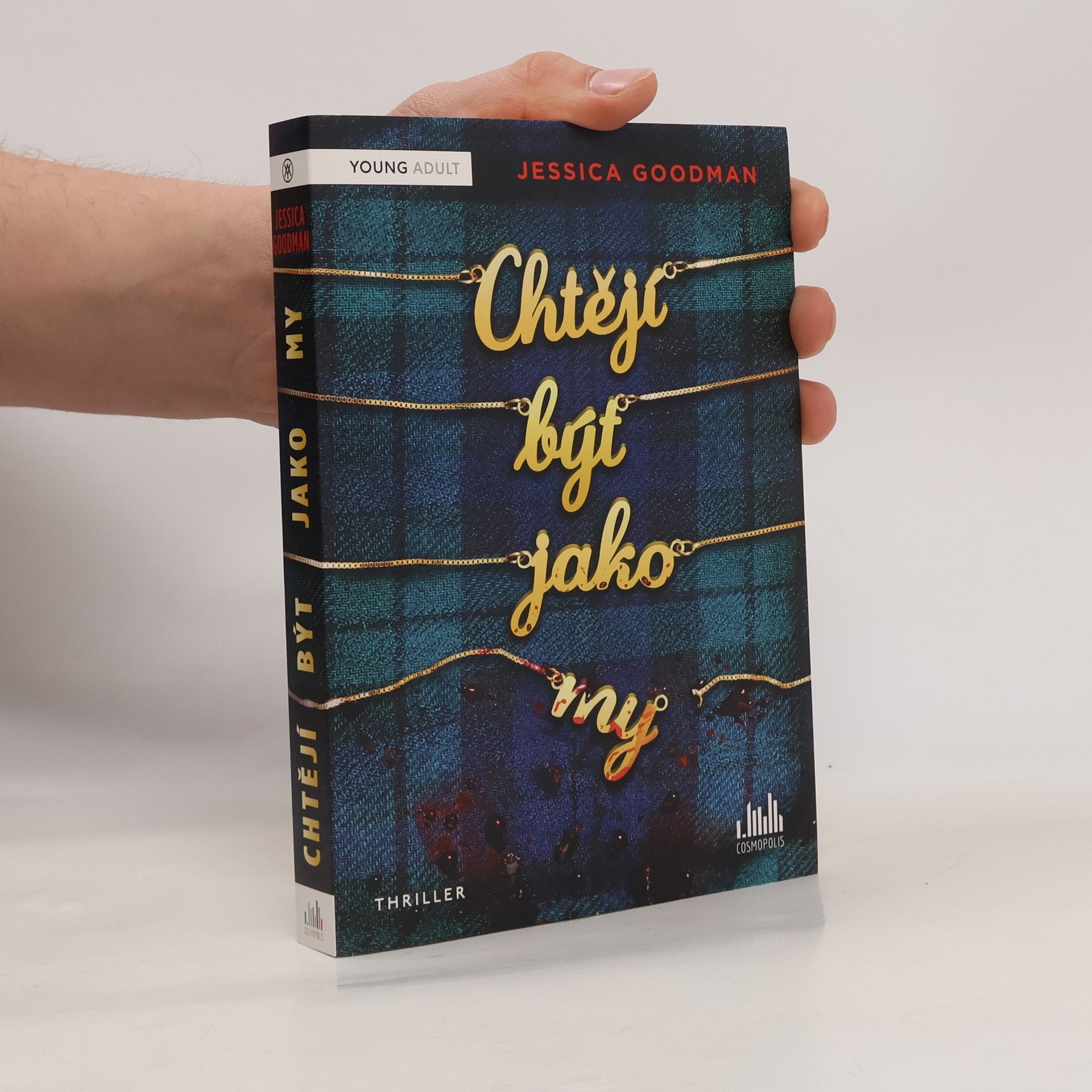 Jessica Goodman Chtějí být jako my