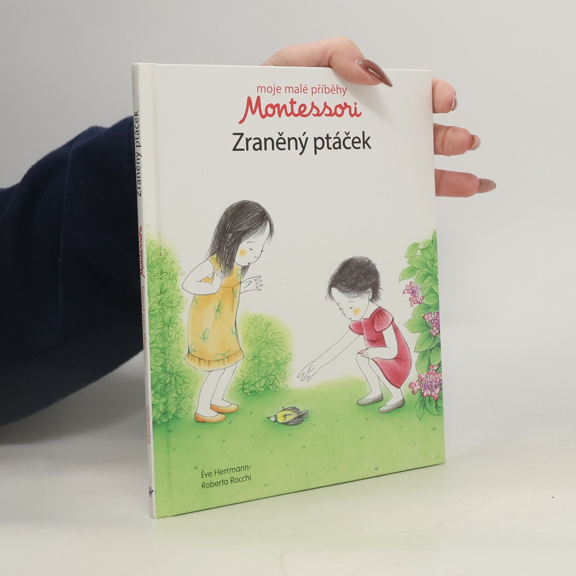 Moje malé příběhy Montessori: Zraněný ptáček
