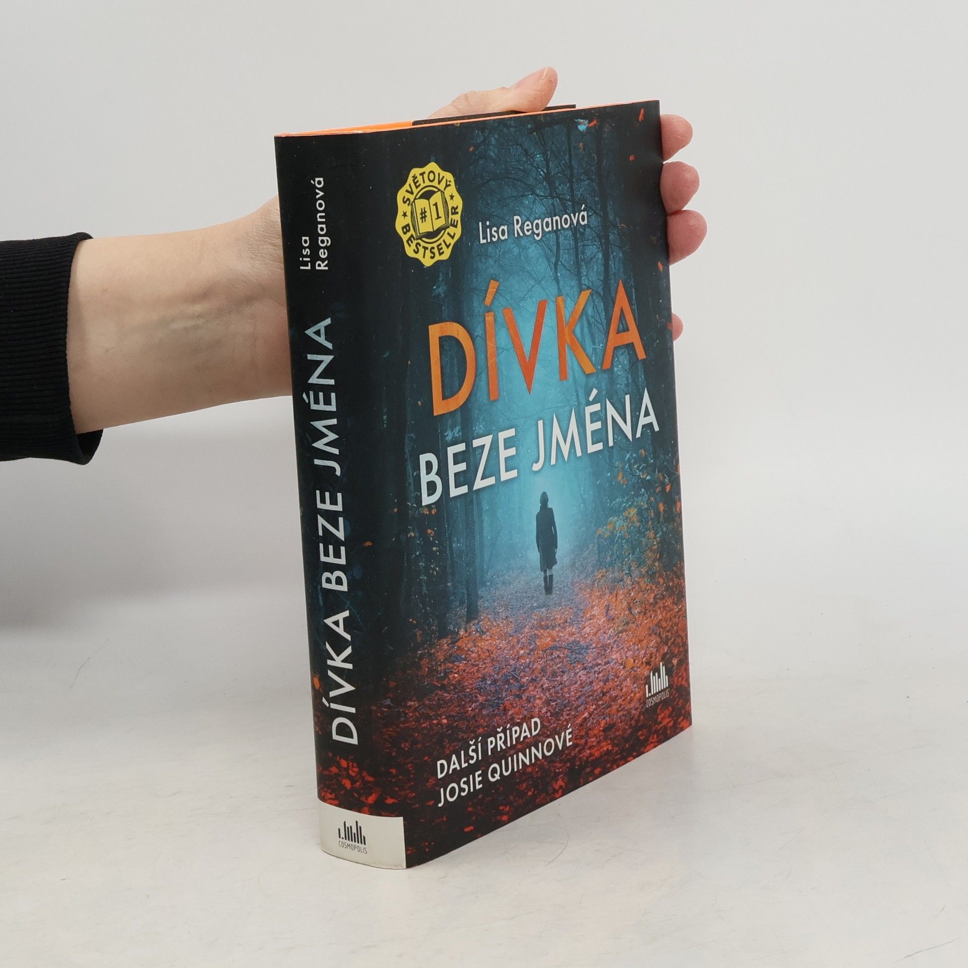 Lisa Regan Dívka beze jména: Další případ Josie Quinnové