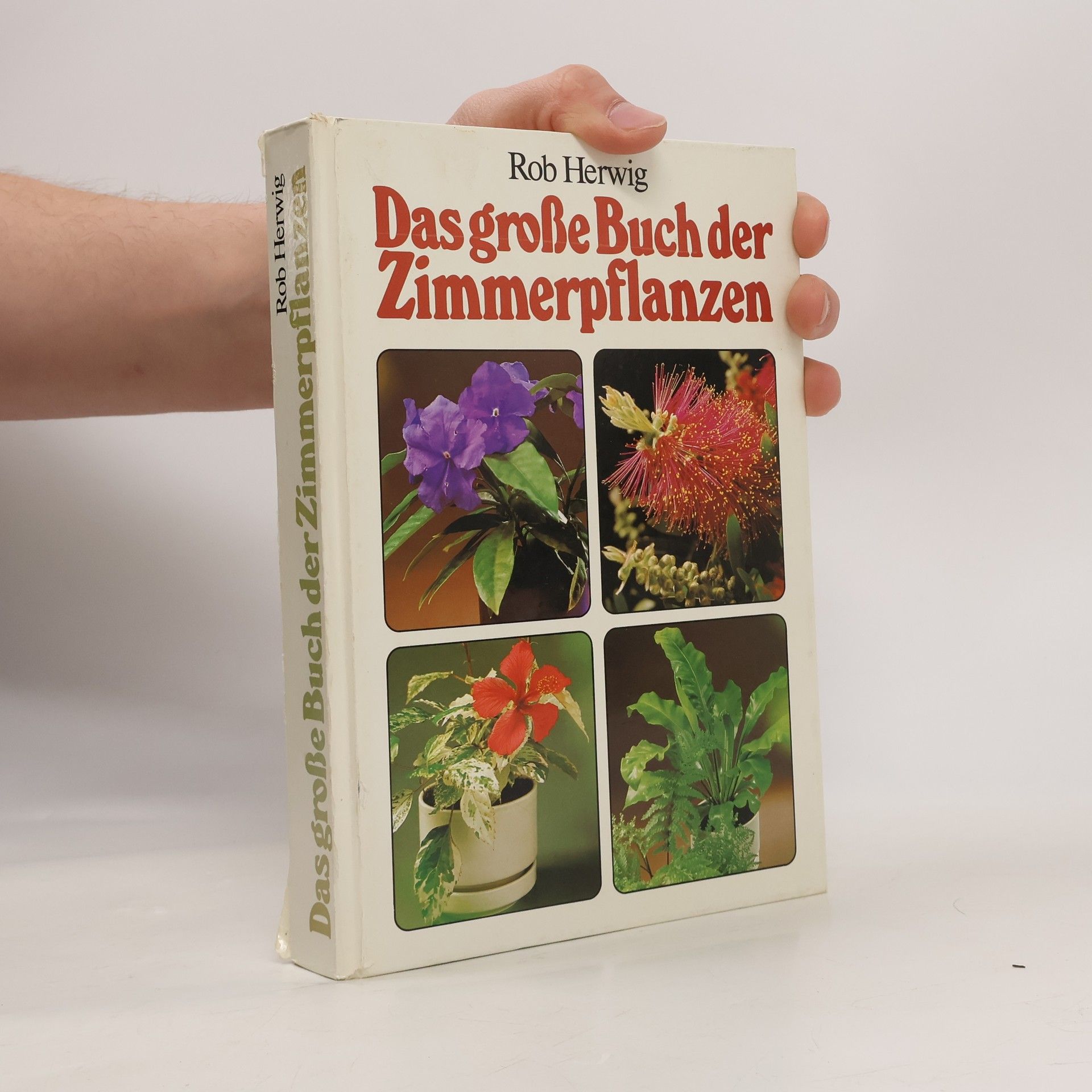 Das grosse Buch der Zimmerpflanzen