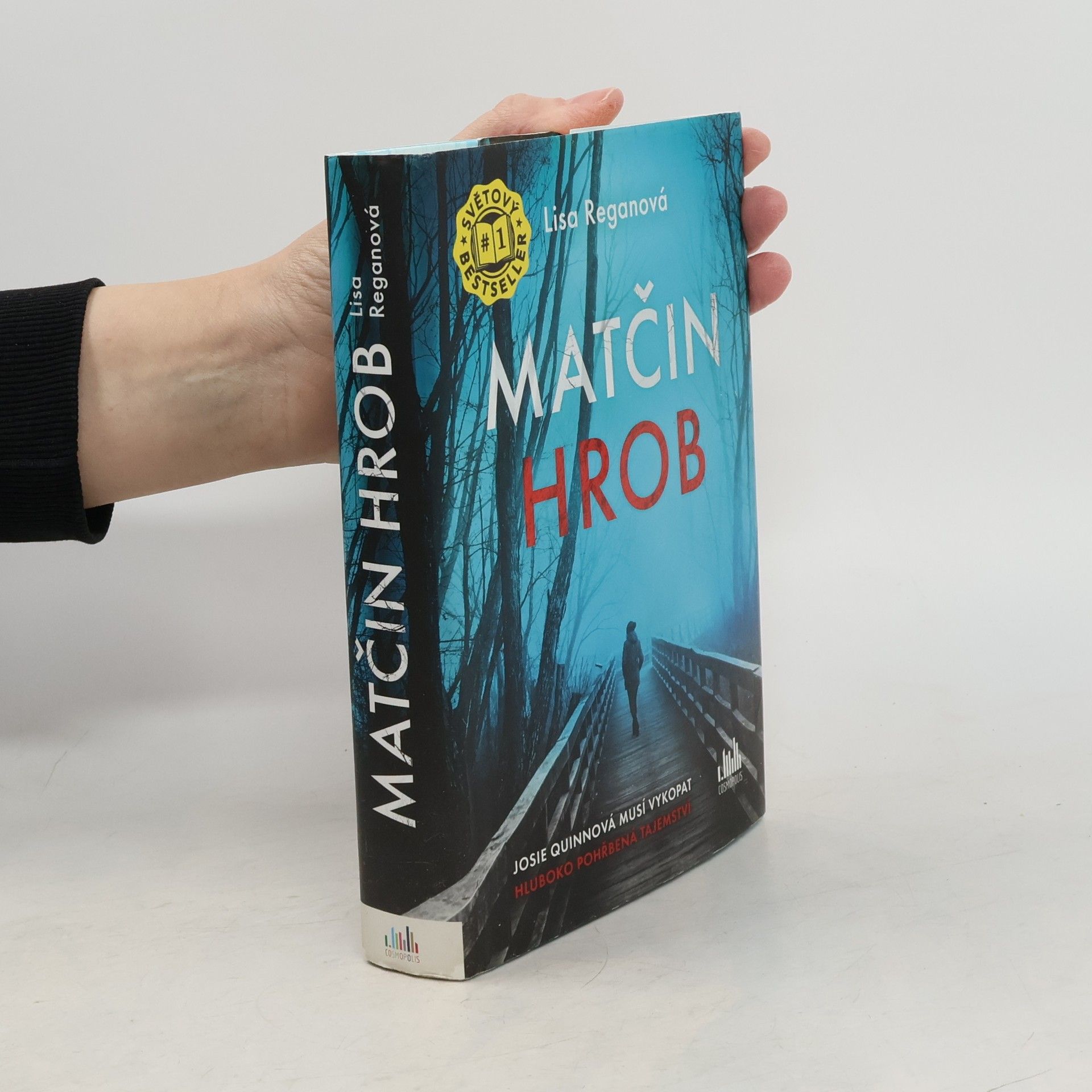 Lisa Regan Matčin hrob