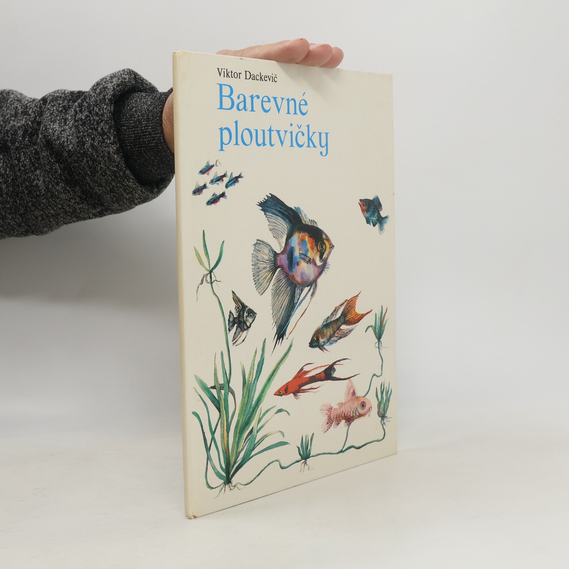 Barevné ploutvičky