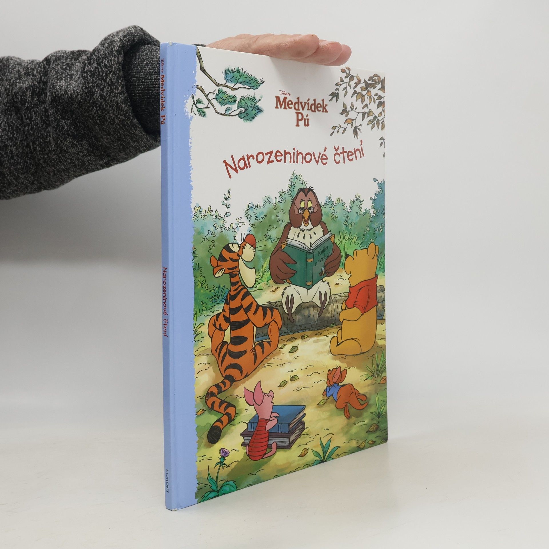 Walt Disney Medvídek Pú - Narozeninové čtení