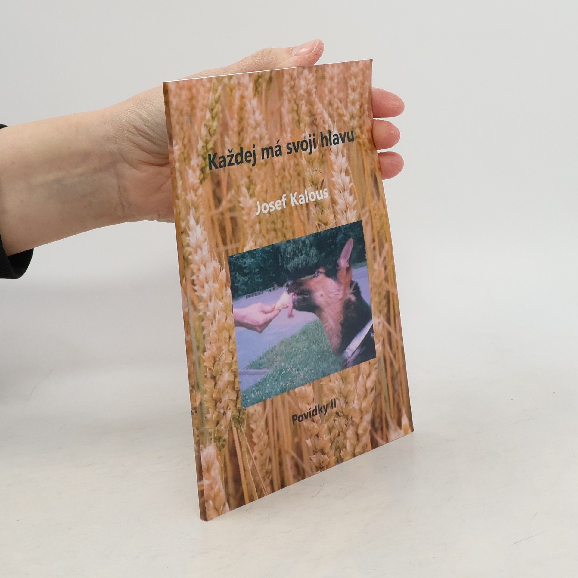 Každej má svoji hlavu